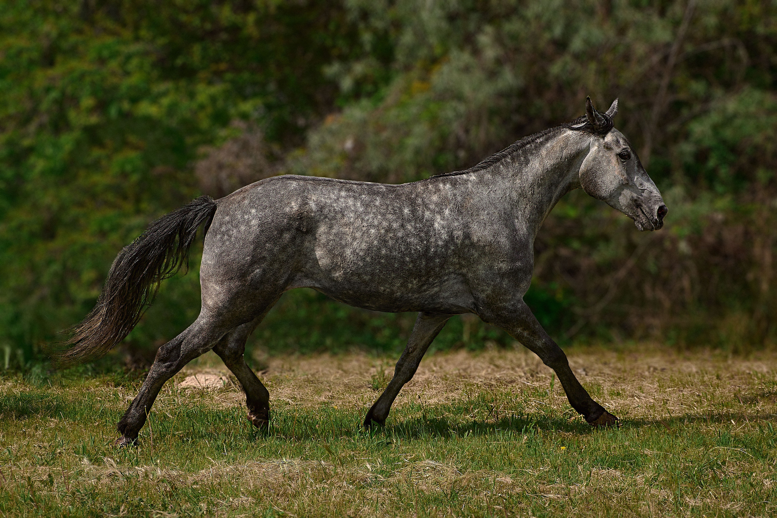Глазурь. Фотограф в Севастополе