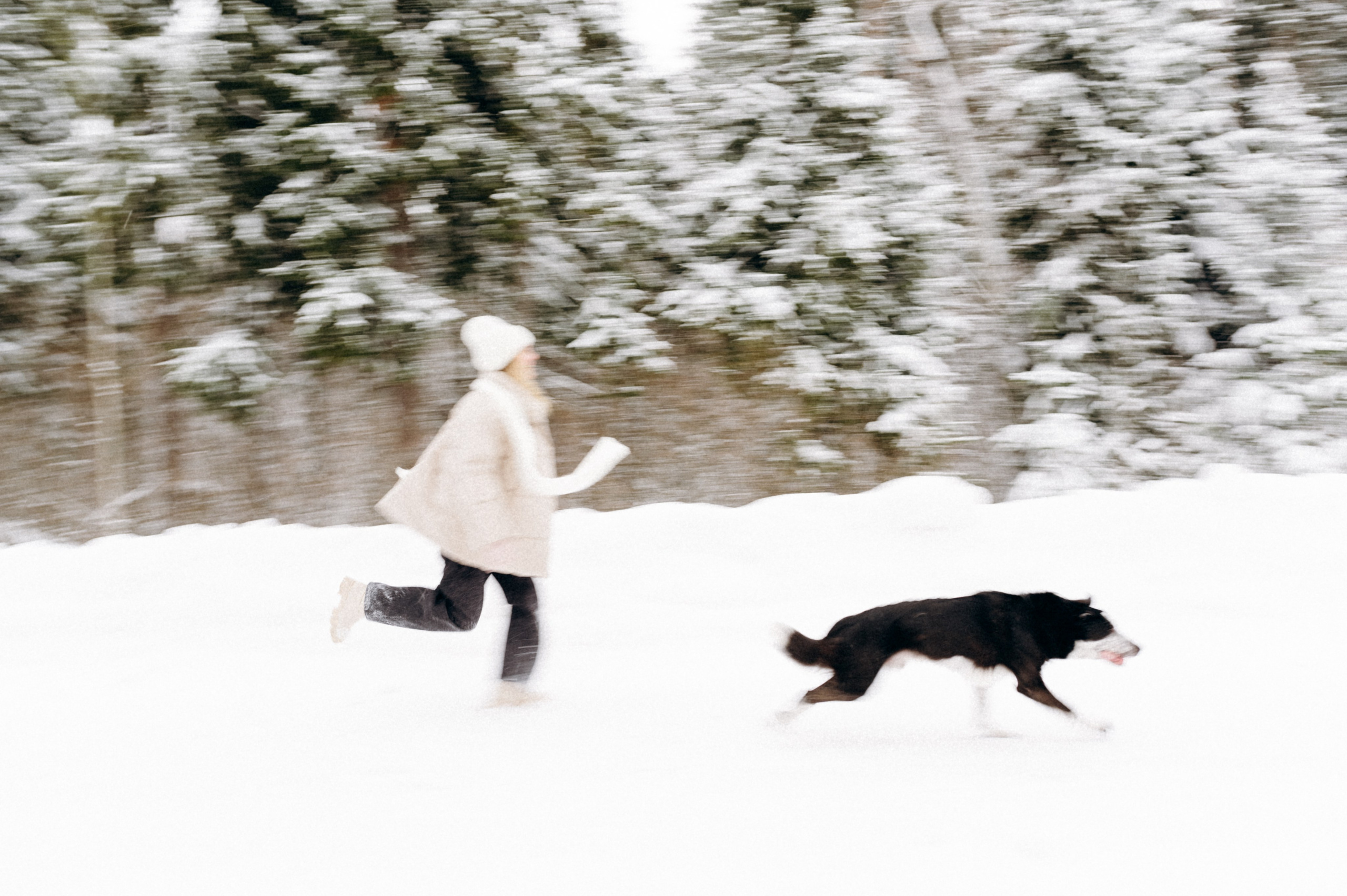 Аня и Милан. Фотограф анималист в Москве Ольга Агушева