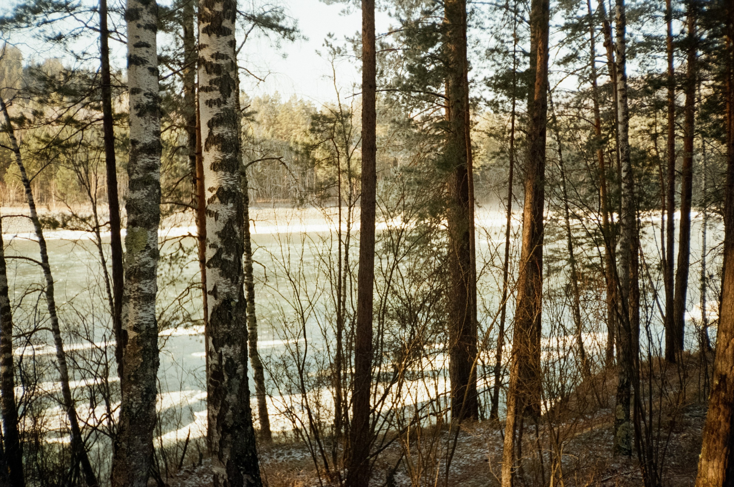 Дорога до Coffee Bus по Чемальскому тракту и Кедровый остров. Фотограф-документалист Мария Осокина