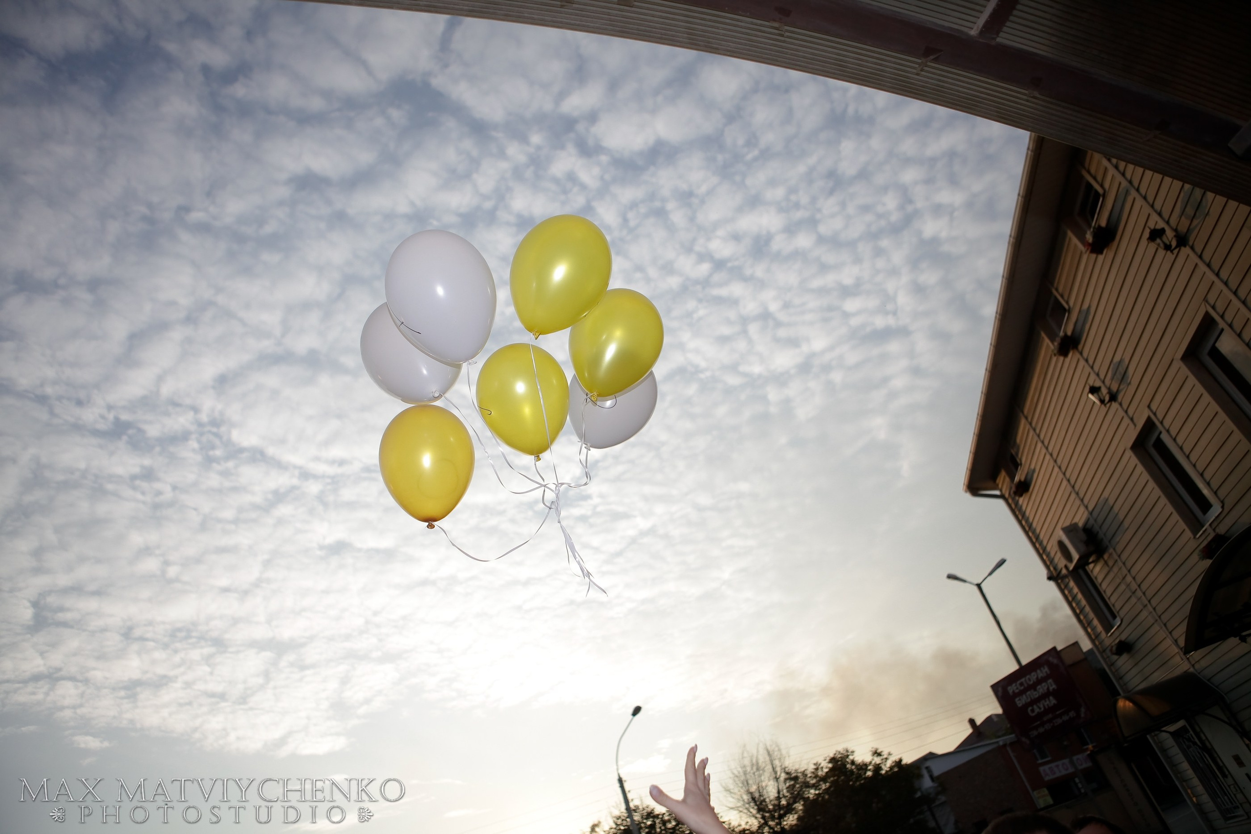 Банкет/Banquet. Максим Матвийченко и Виктория Басова профессионалы своего дела