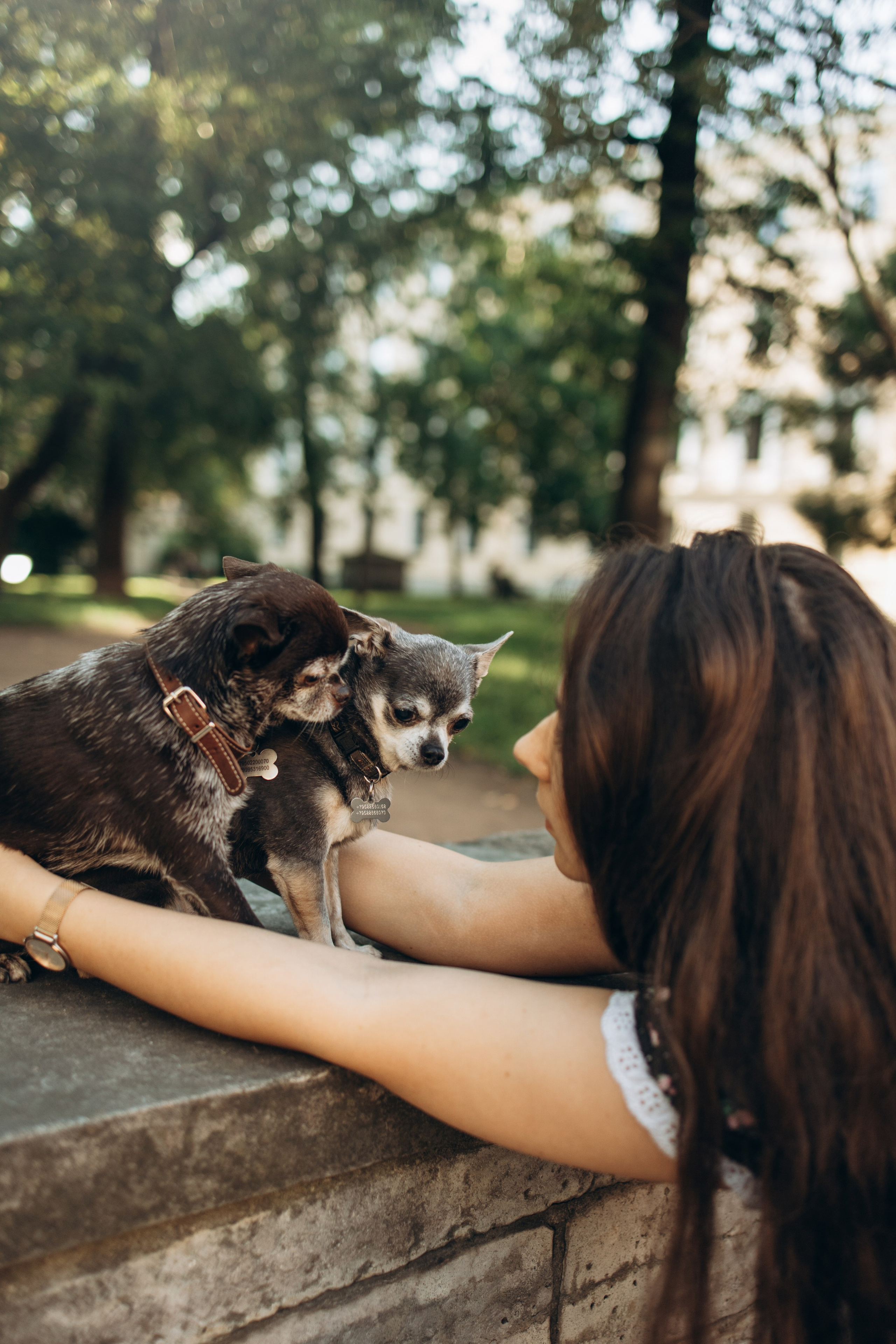Даша и ее мальчики. Фотограф — Анималист | Санкт-Петербург