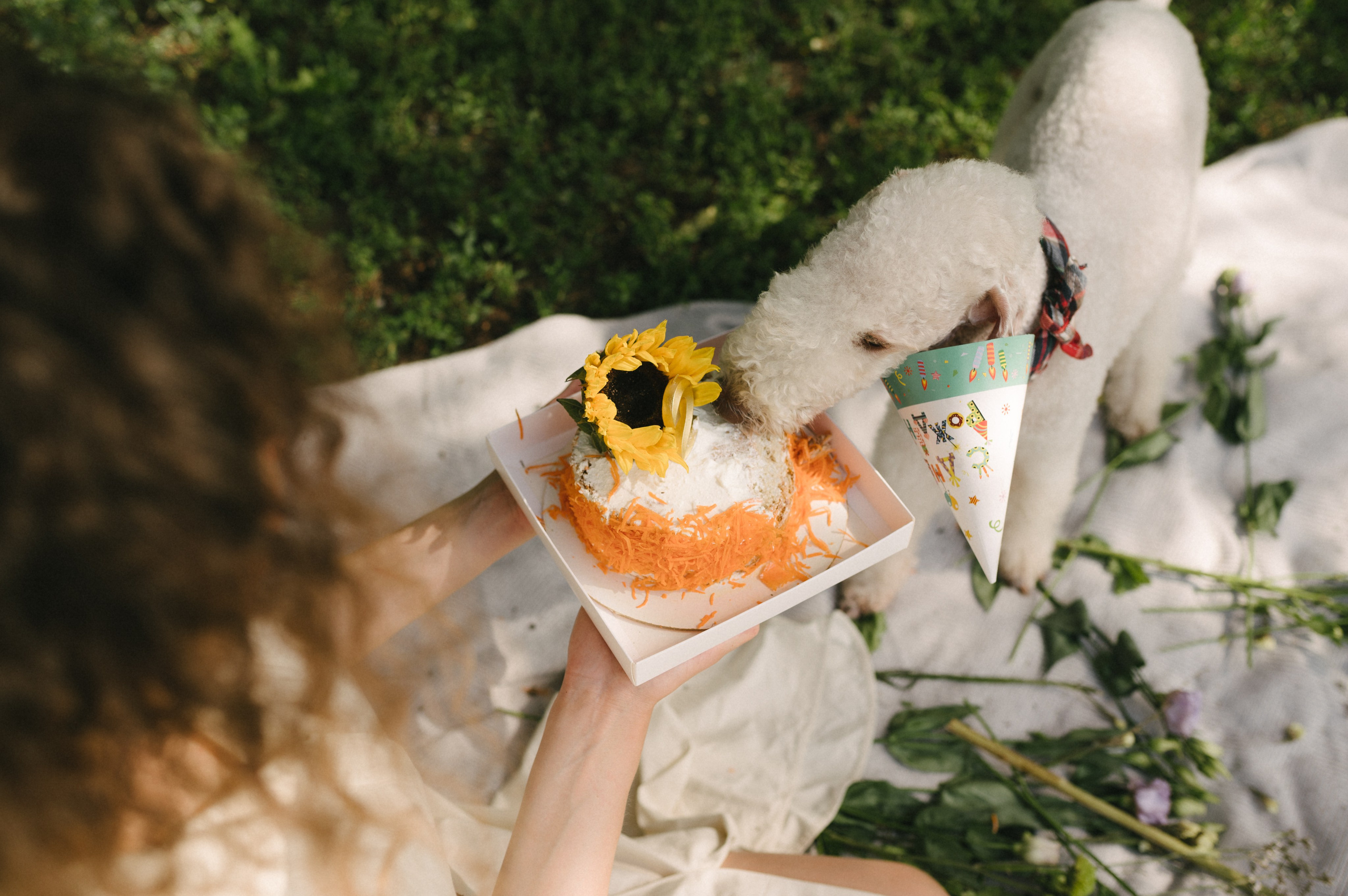 Лиза и Каспер. Фотограф анималист в Москве Ольга Агушева