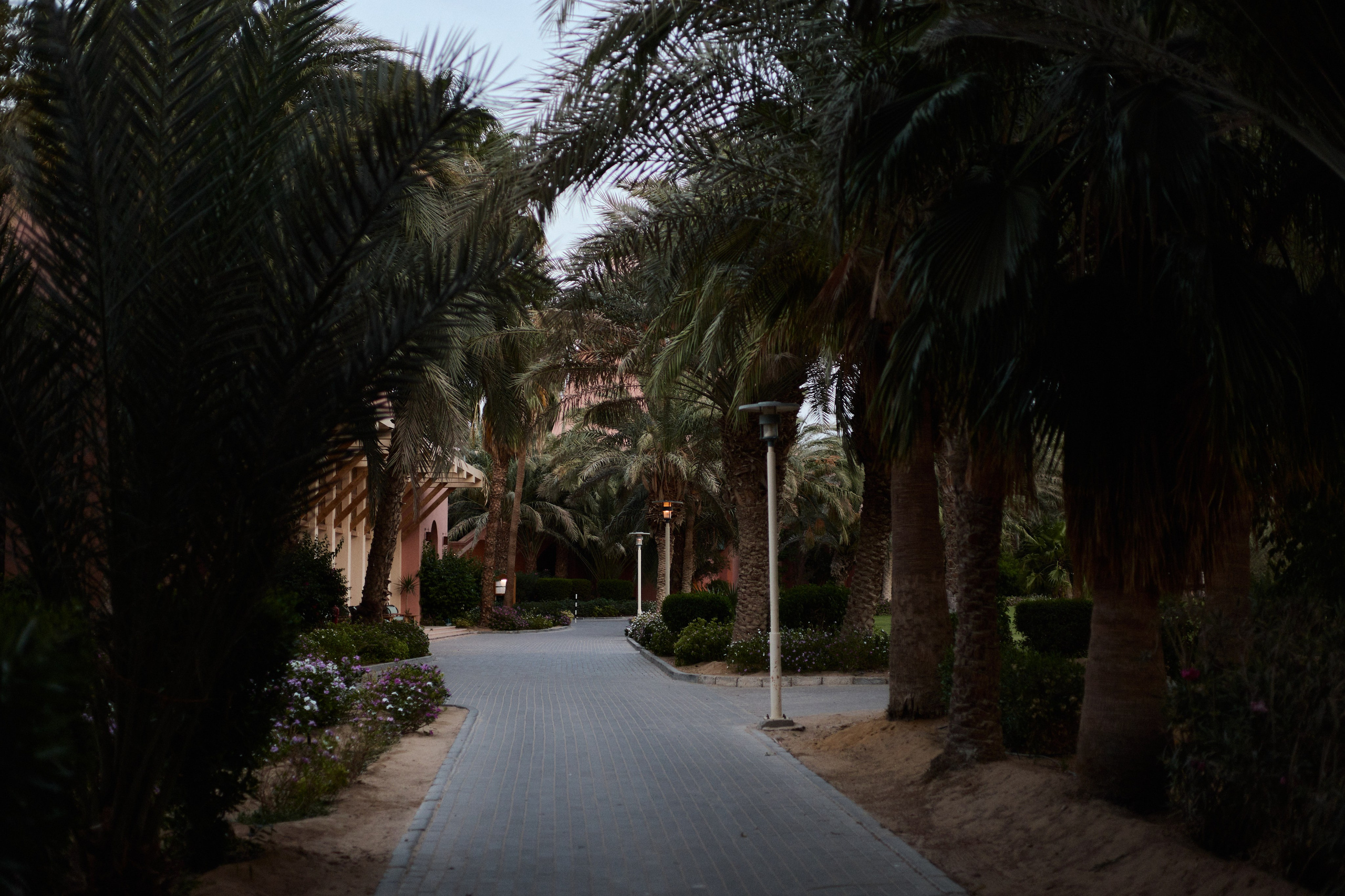 Улица горизонтальная. Jorgis — фотограф в Хургаде / обучение фотографии