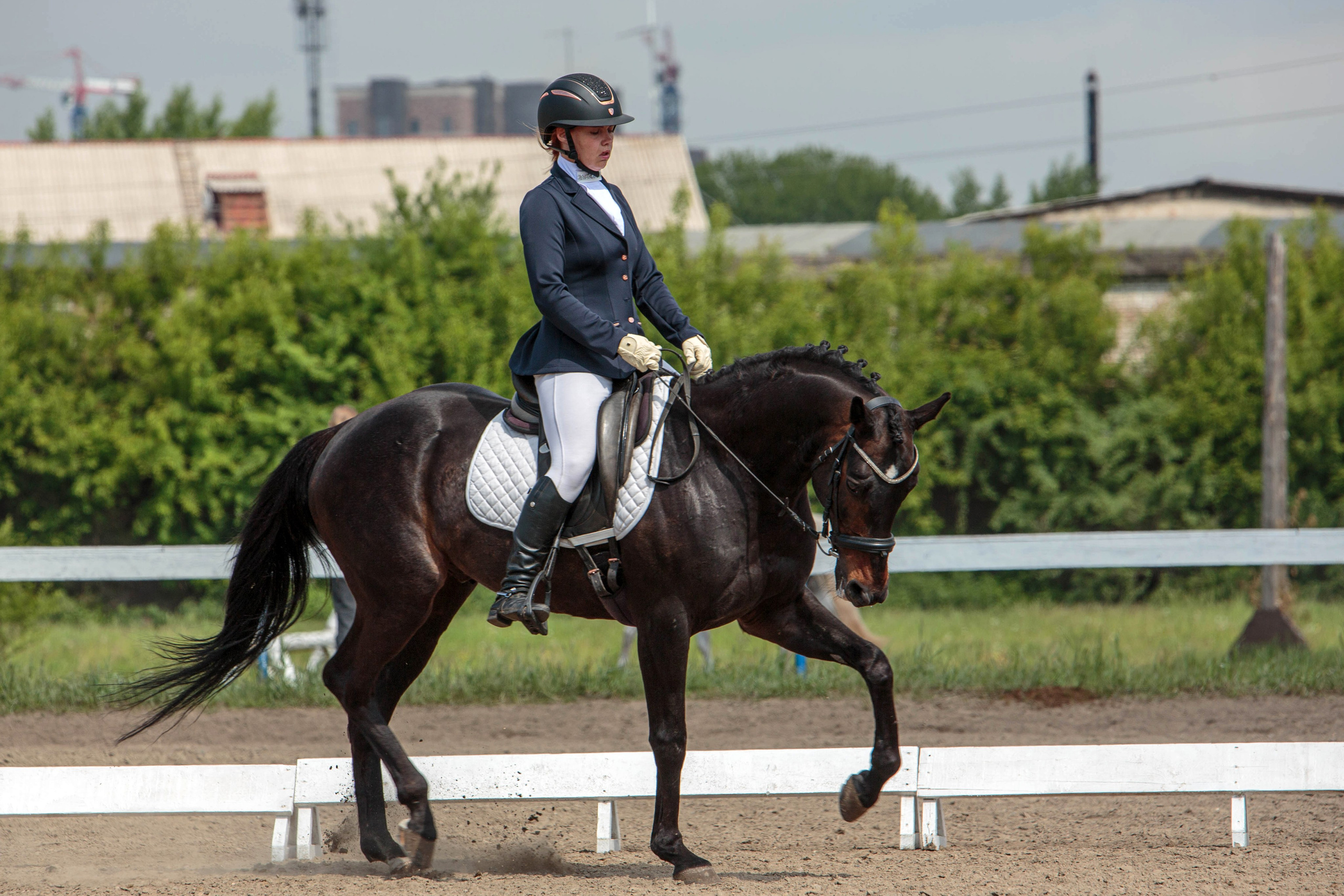 2024. Конный фотограф в Красноярске — Любовь Похабова