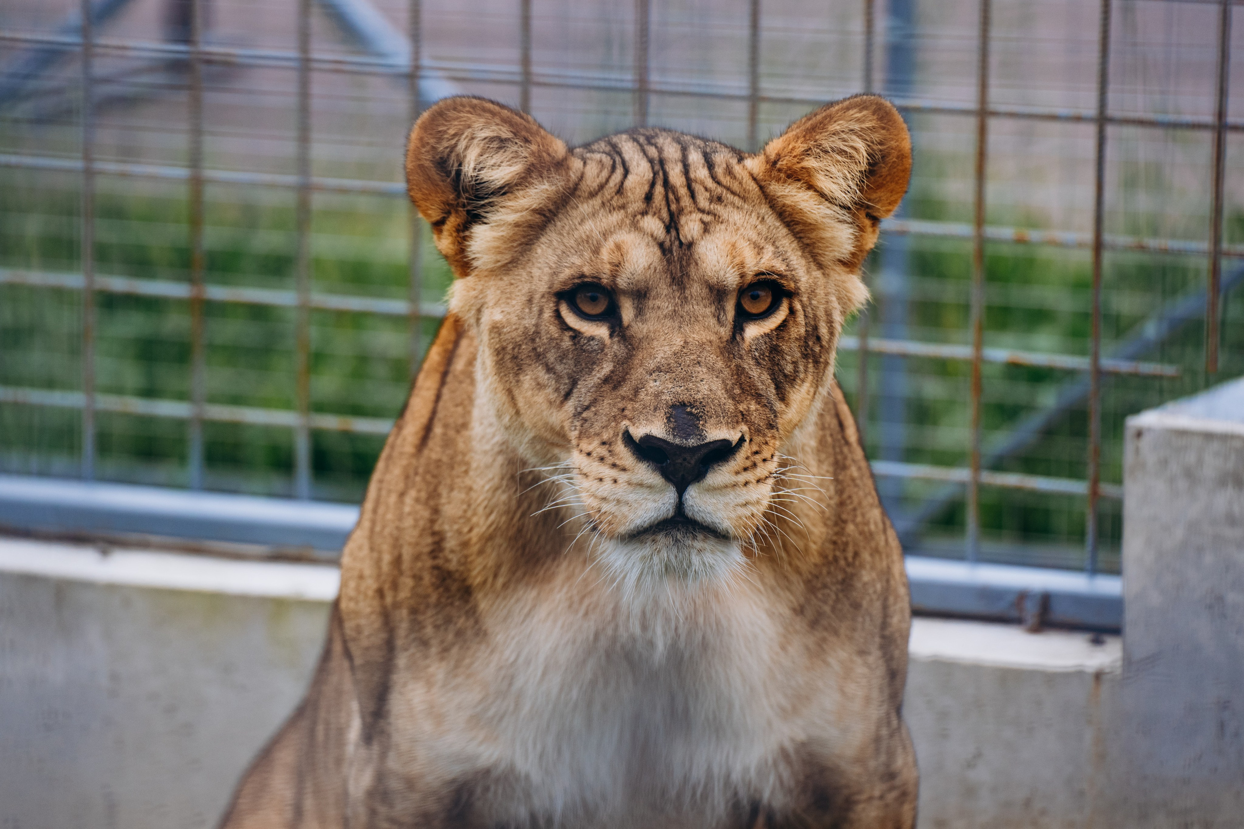 СЕВЕР. Event фотограф Степанова Александра