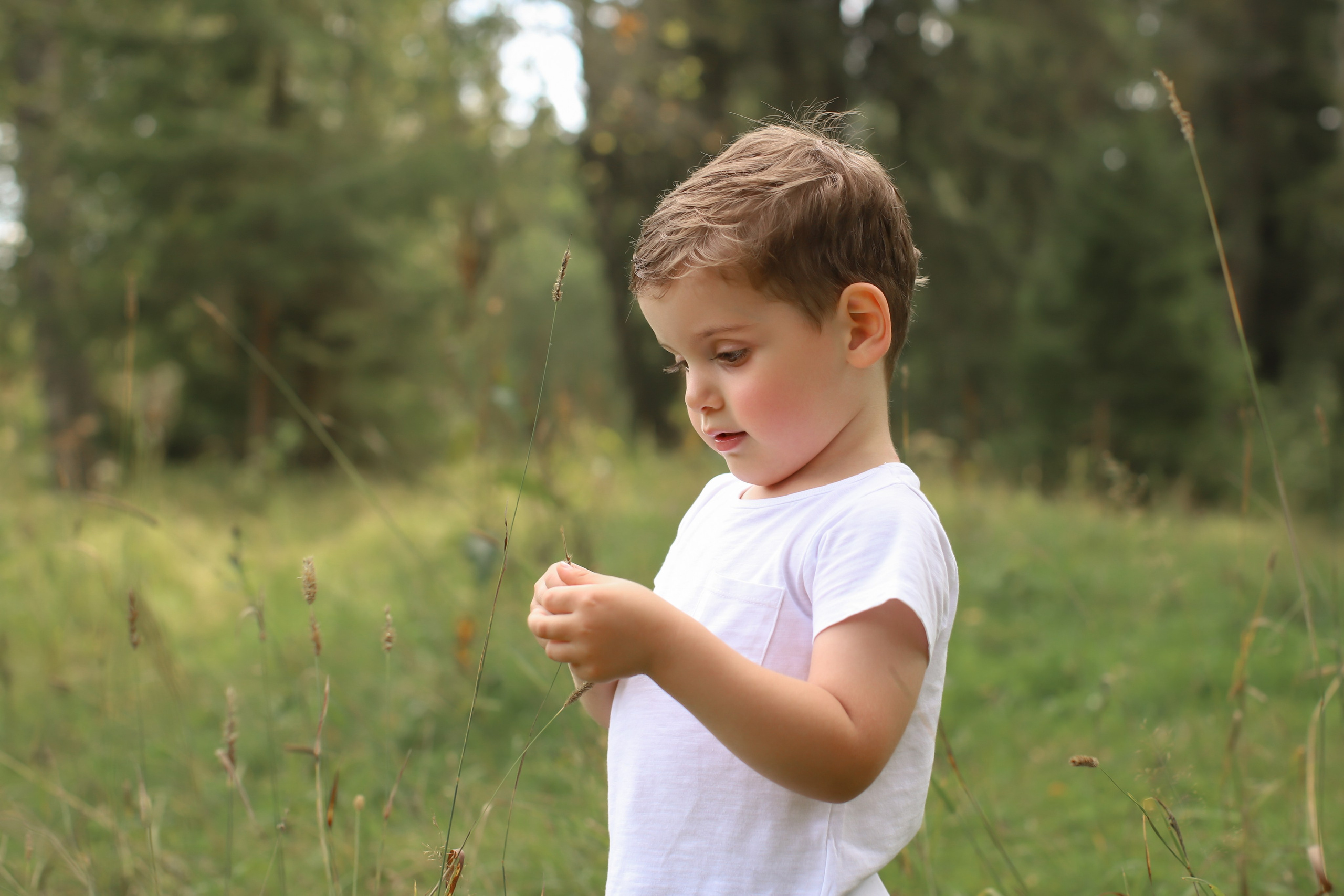 Давид. Детский и семейный фотограф Мария Киселёва. Москва