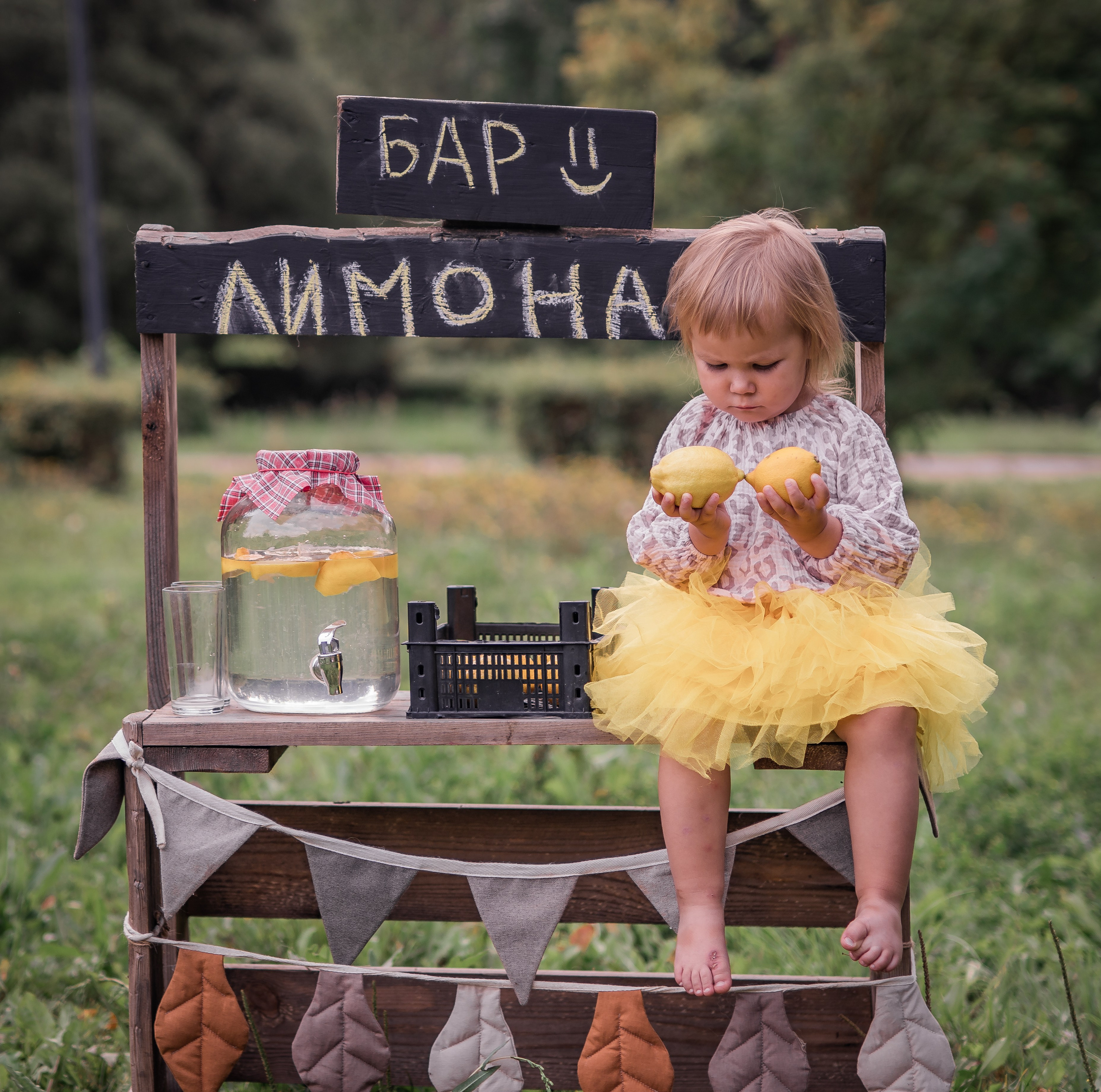 Пикник с лимонадом. Семейный фотограф Ефремова Виктория