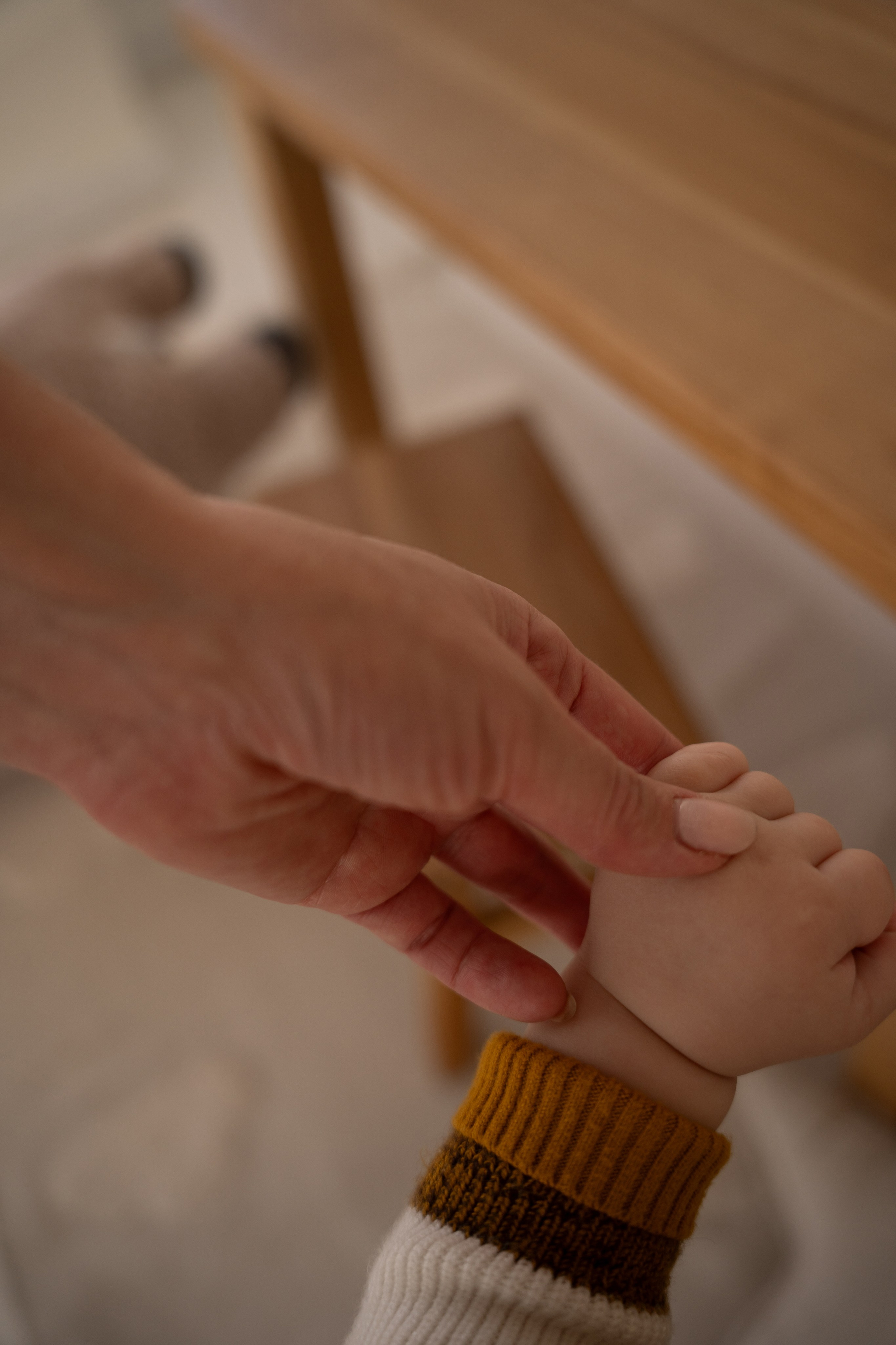 Семейная съемка в студии