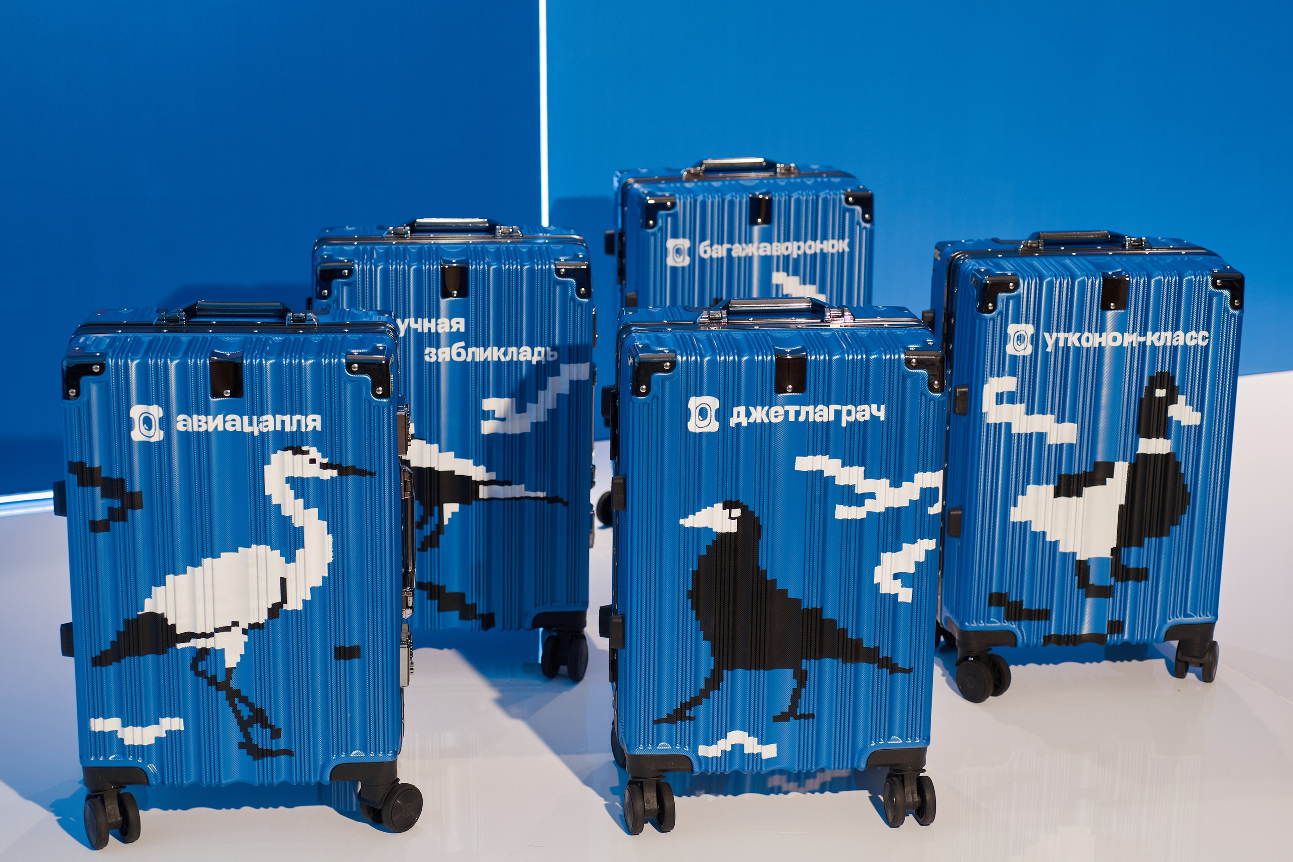 Aviasales. Фотограф Роман Арыкин Екатеринбург