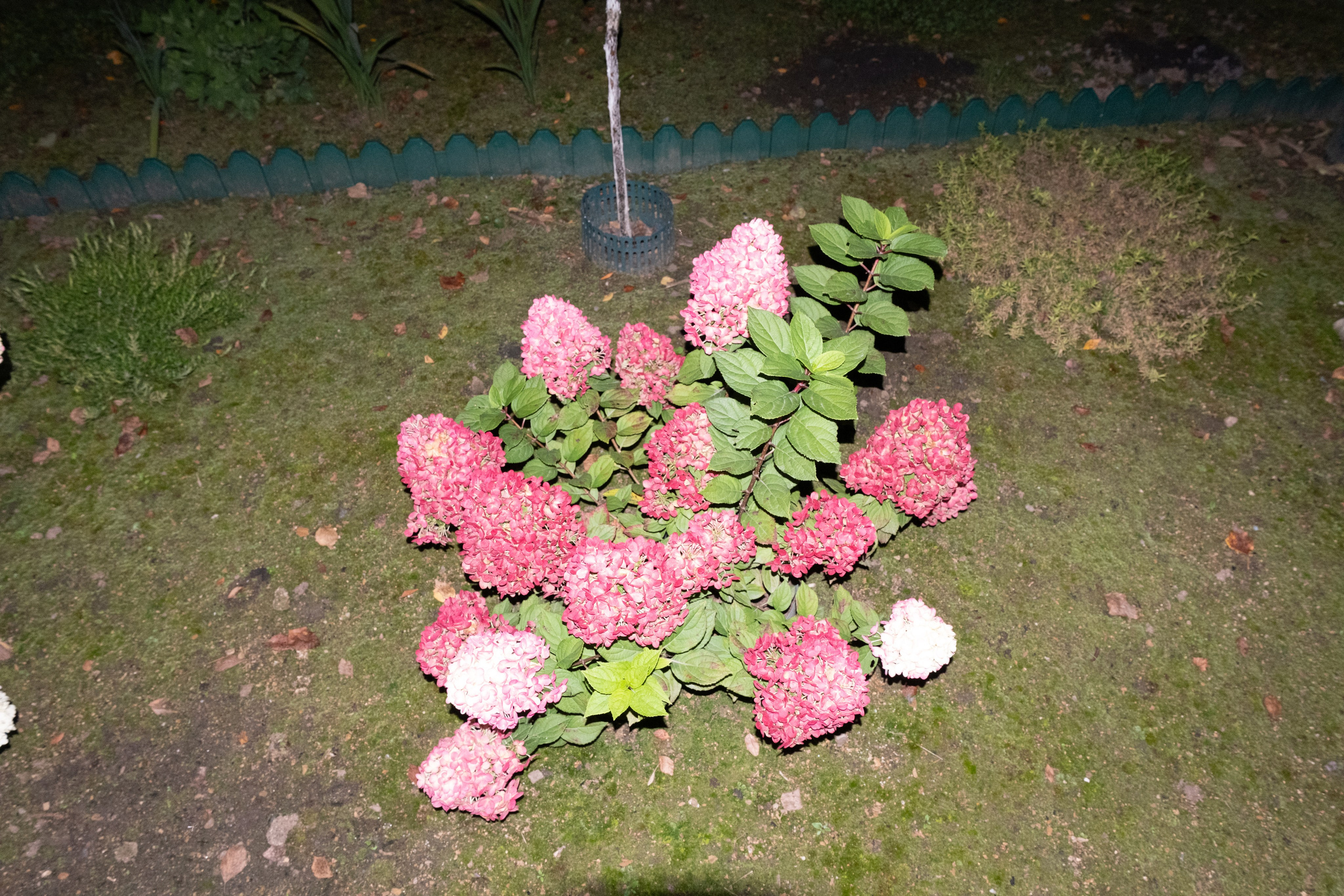 Прогулка по Екатеринбургу. Денис Марков — фотограф в Екатеринбурге