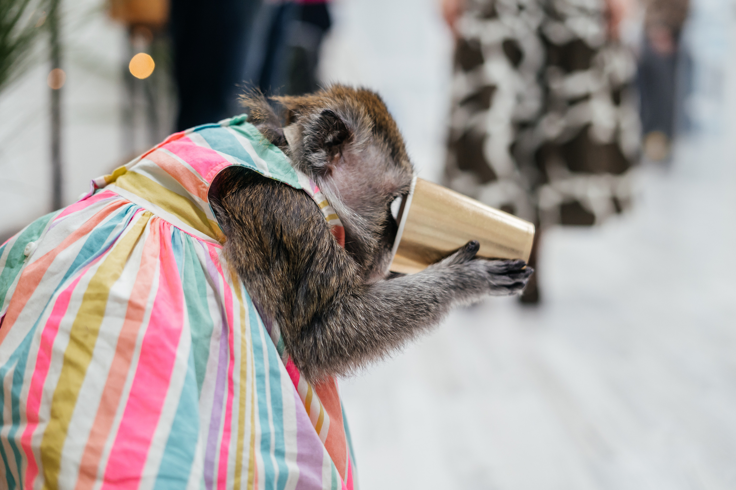 Детский праздник. Свадебный и семейный фотограф В Барнауле Нечаева Таня