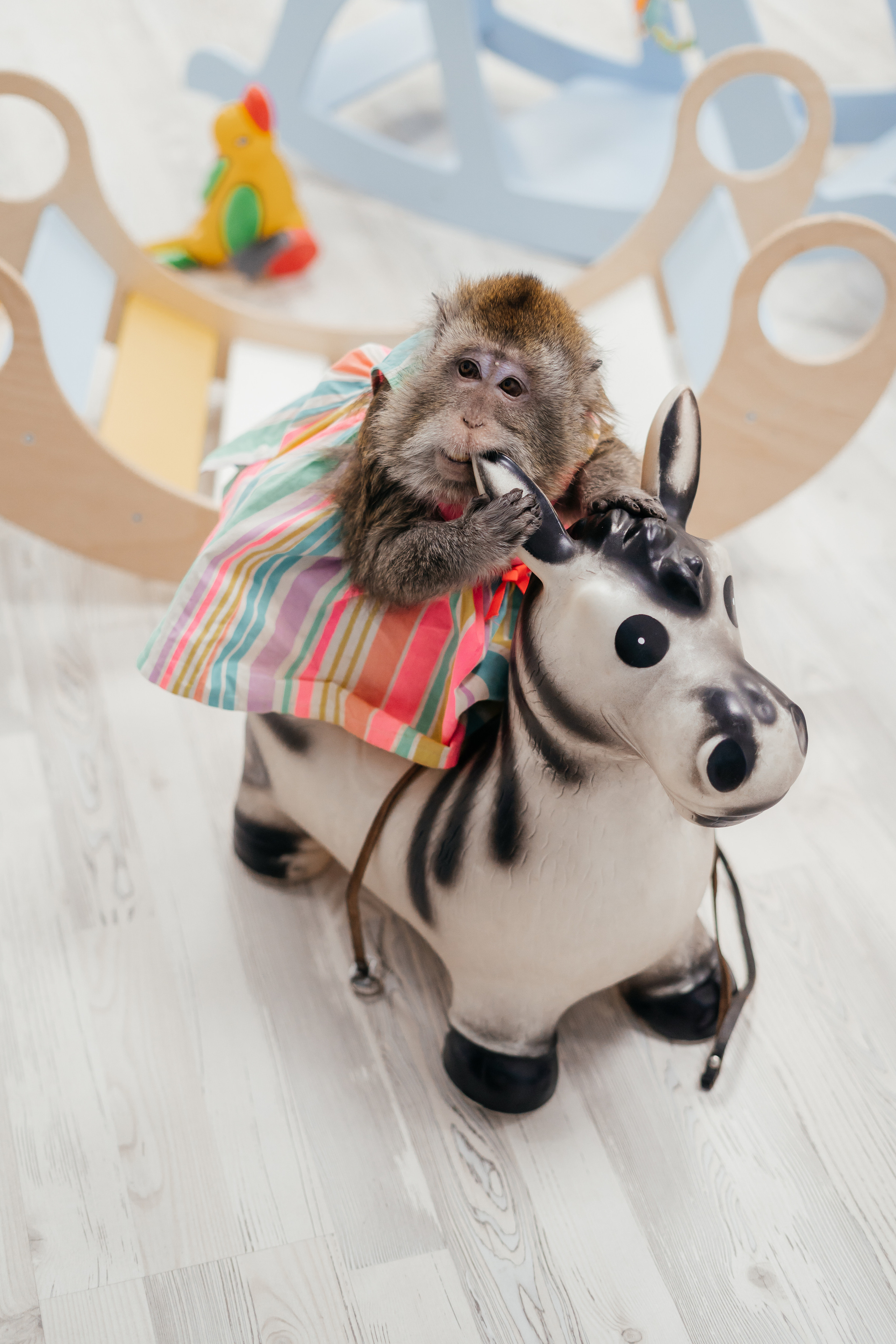 Детский праздник. Свадебный и семейный фотограф В Барнауле Нечаева Таня