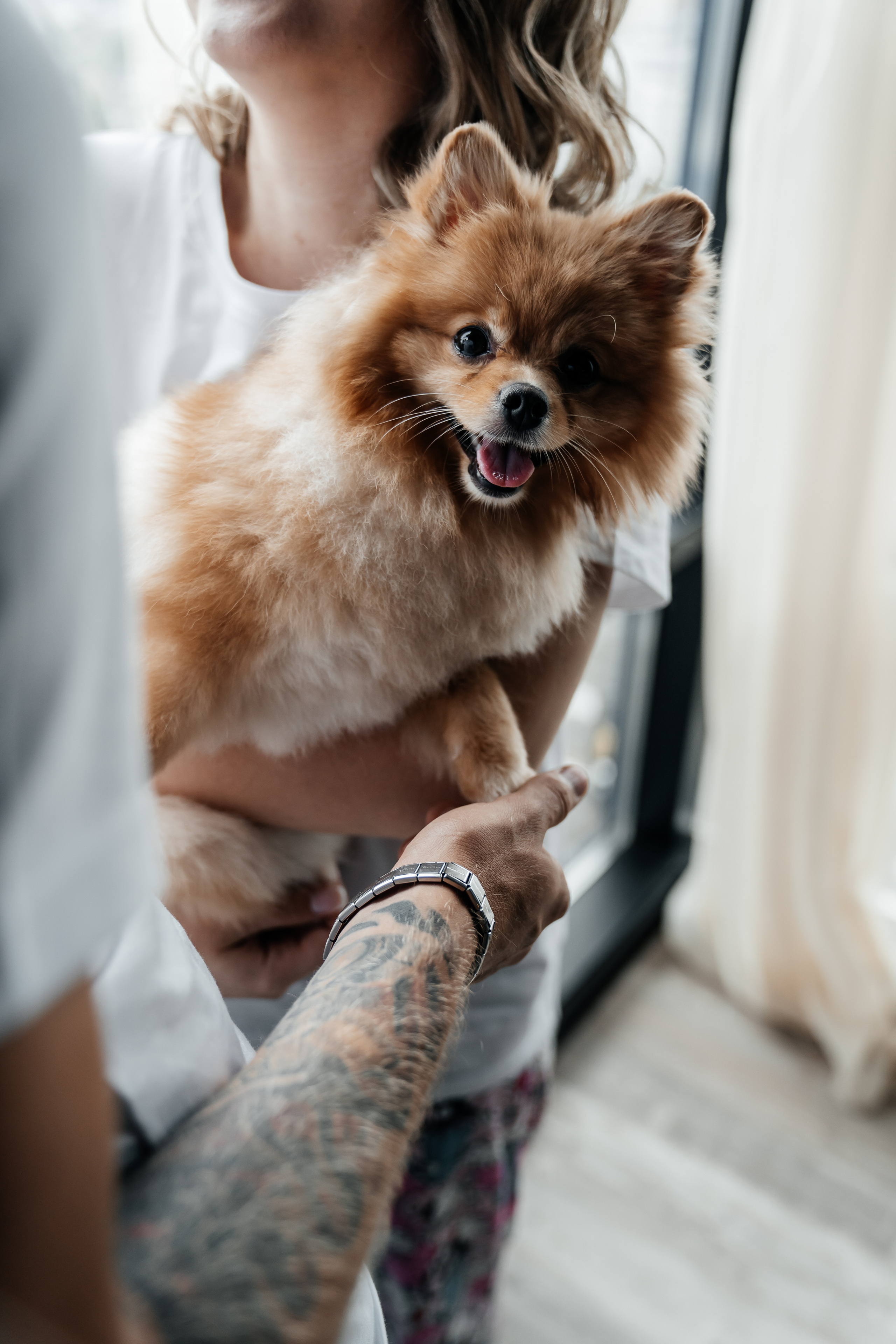 Никита и Анна. Свадебный и семейный фотограф В Барнауле Нечаева Таня