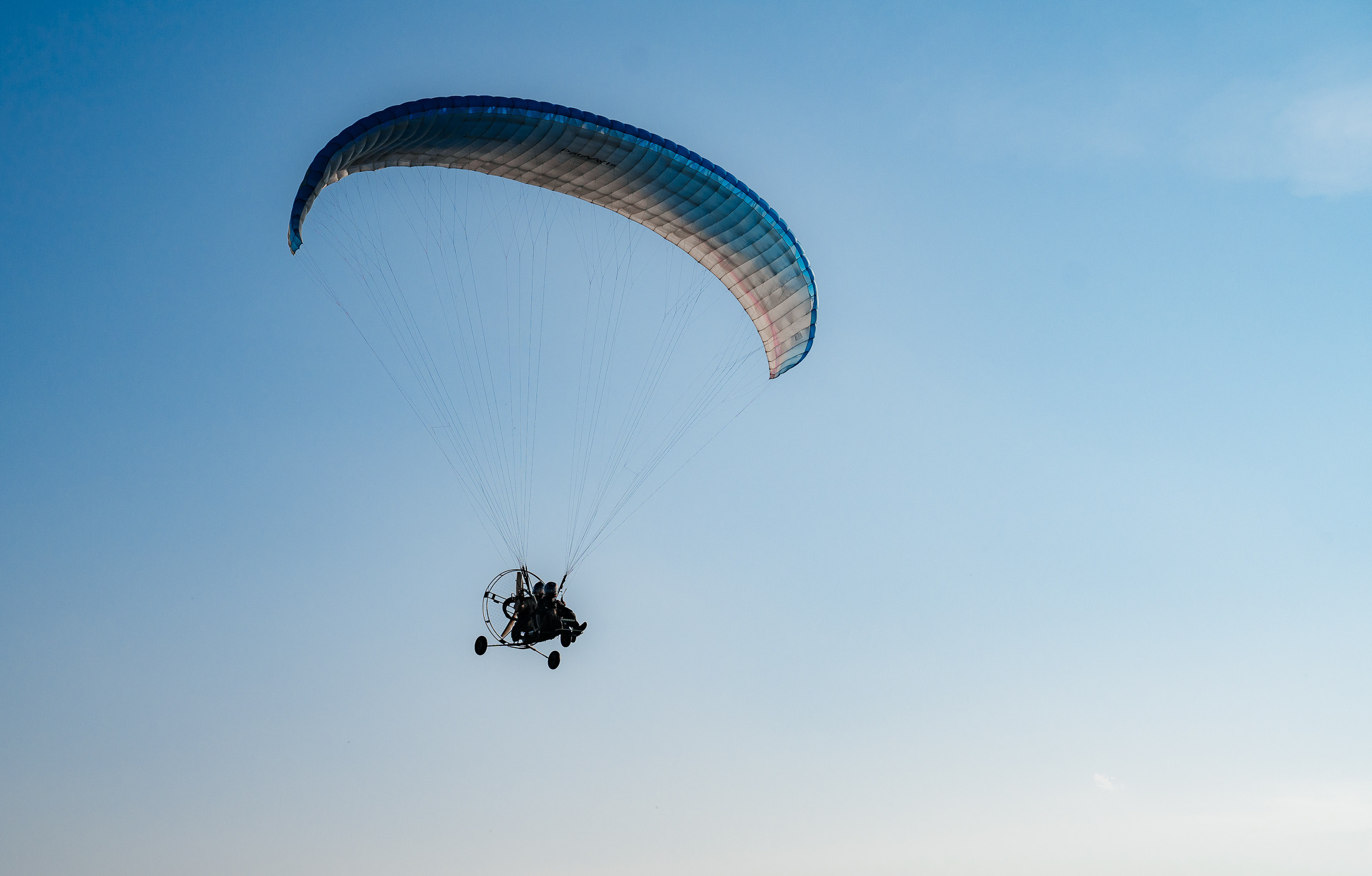 Контент полет на мотопараплане. Свадебный и семейный фотограф В Барнауле Нечаева Таня