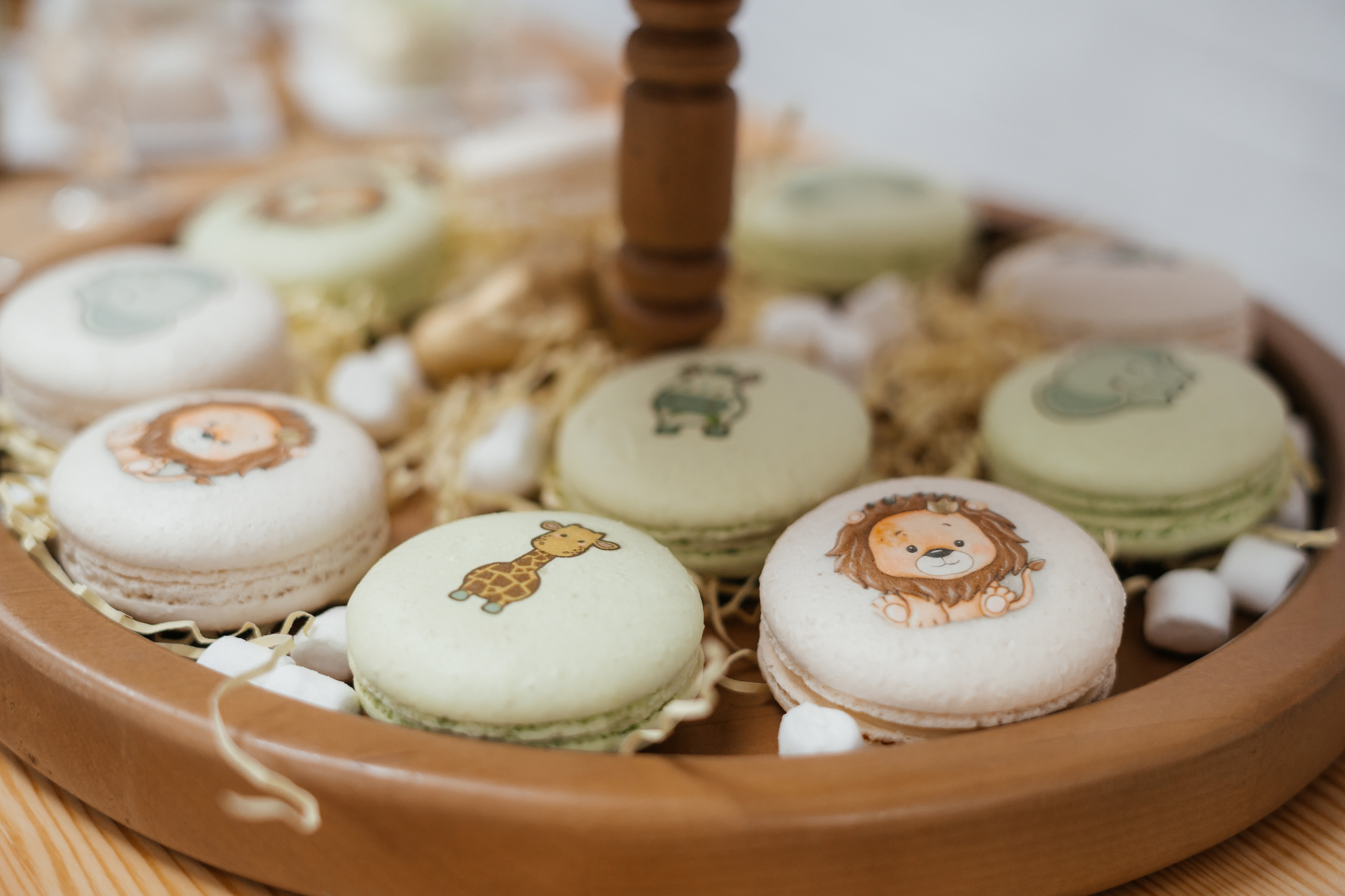 Детский праздник. Свадебный и семейный фотограф В Барнауле Нечаева Таня