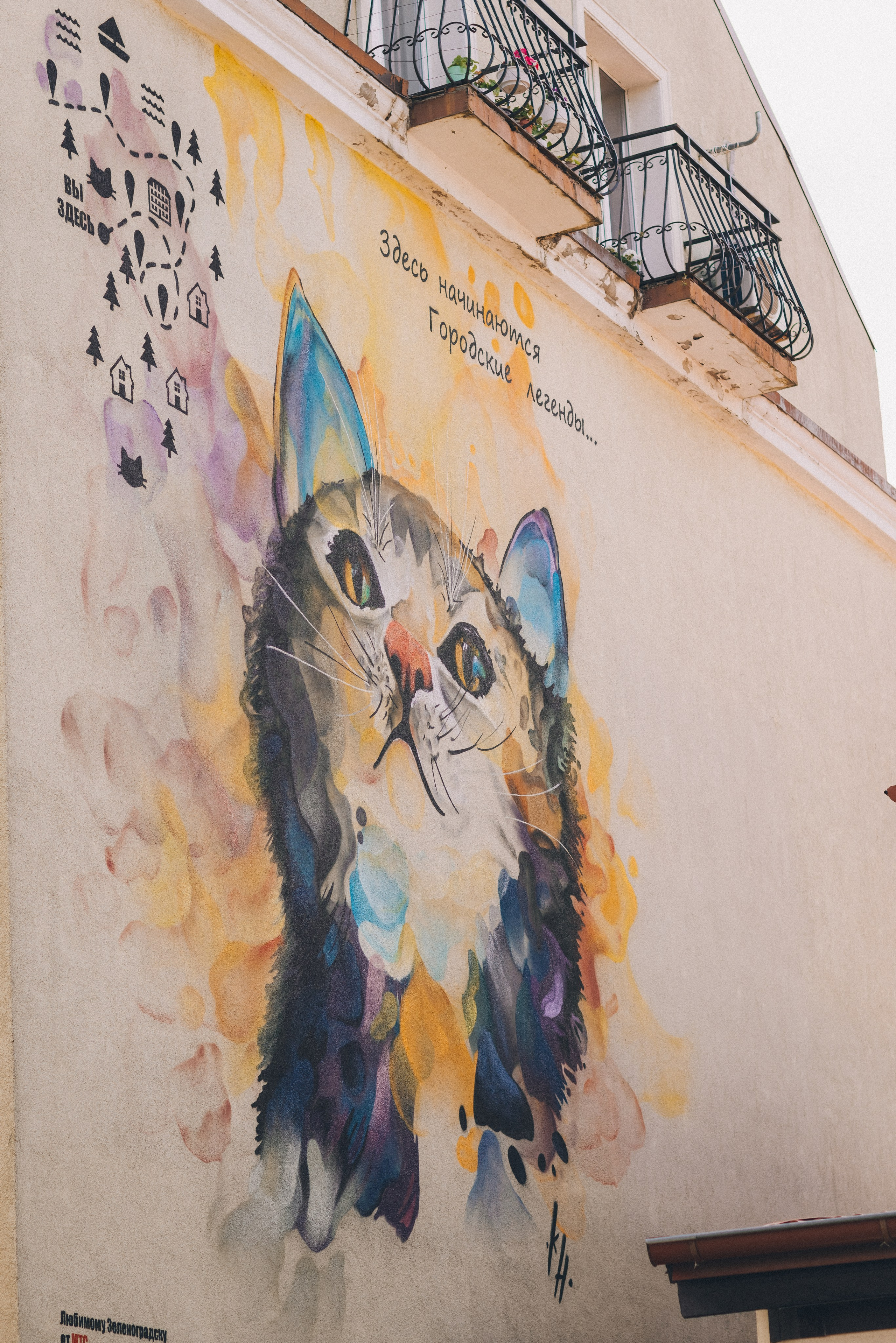 Истории. Фотограф Зеленоградск Красильникова Елена