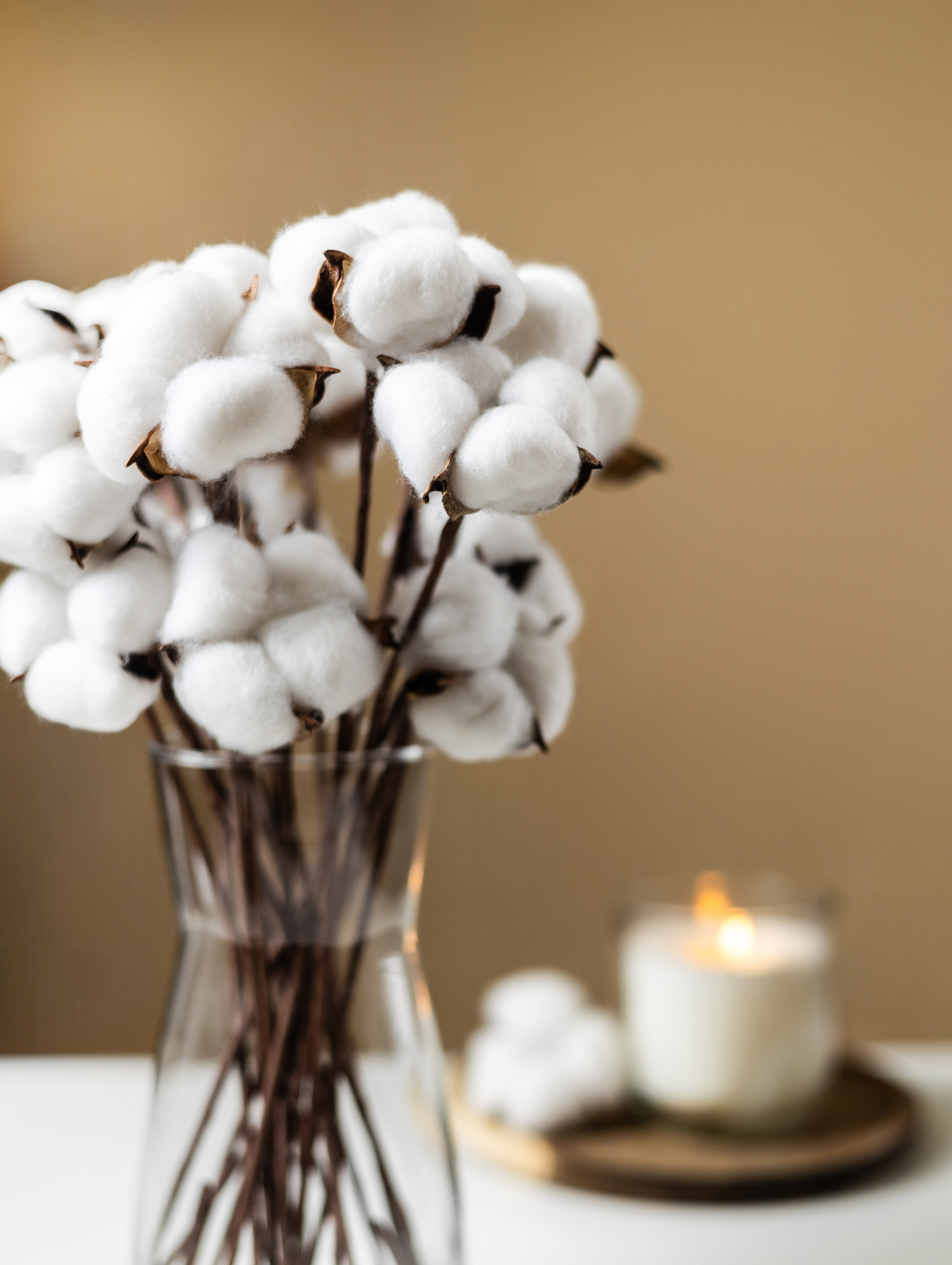 Сухоцветы для Wildberries. СЕМЕЙНЫЙ И ПРЕДМЕТНЫЙ ФОТОГРАФ — ЛЕНА ГОНЧАР | КРАСНОДАР | МАЙКОП