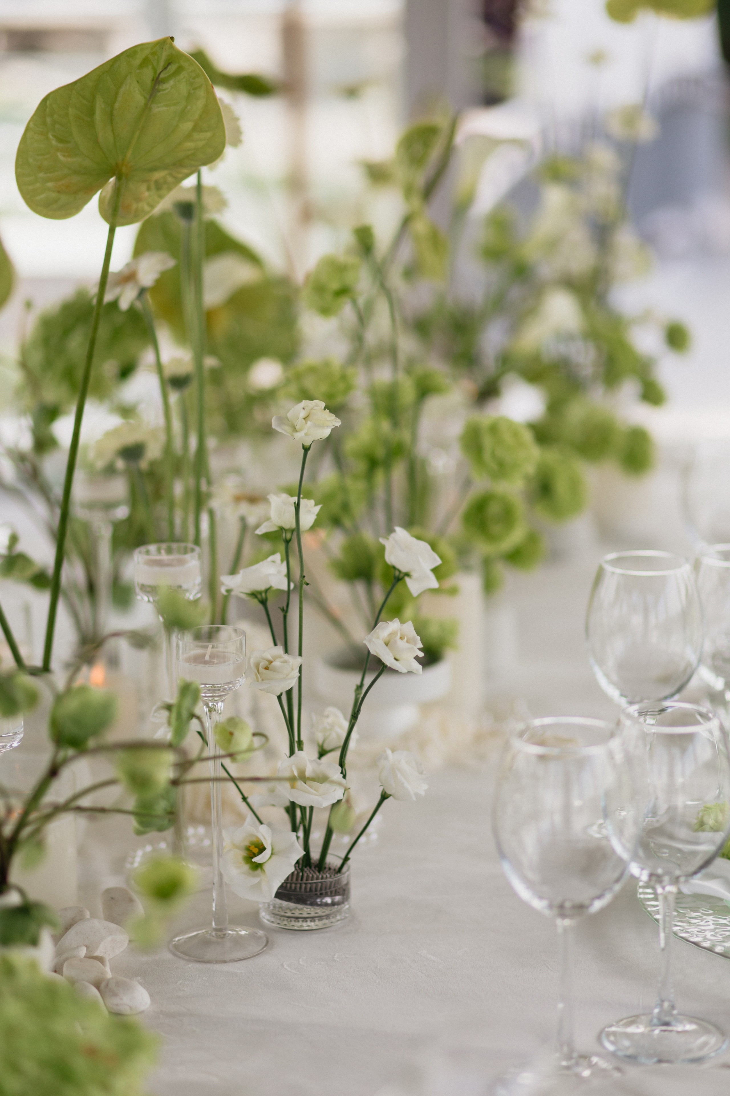 Андрей & Лера | ROBINSON CLUB. Свадебный фотограф в Минске Владислав Бабич