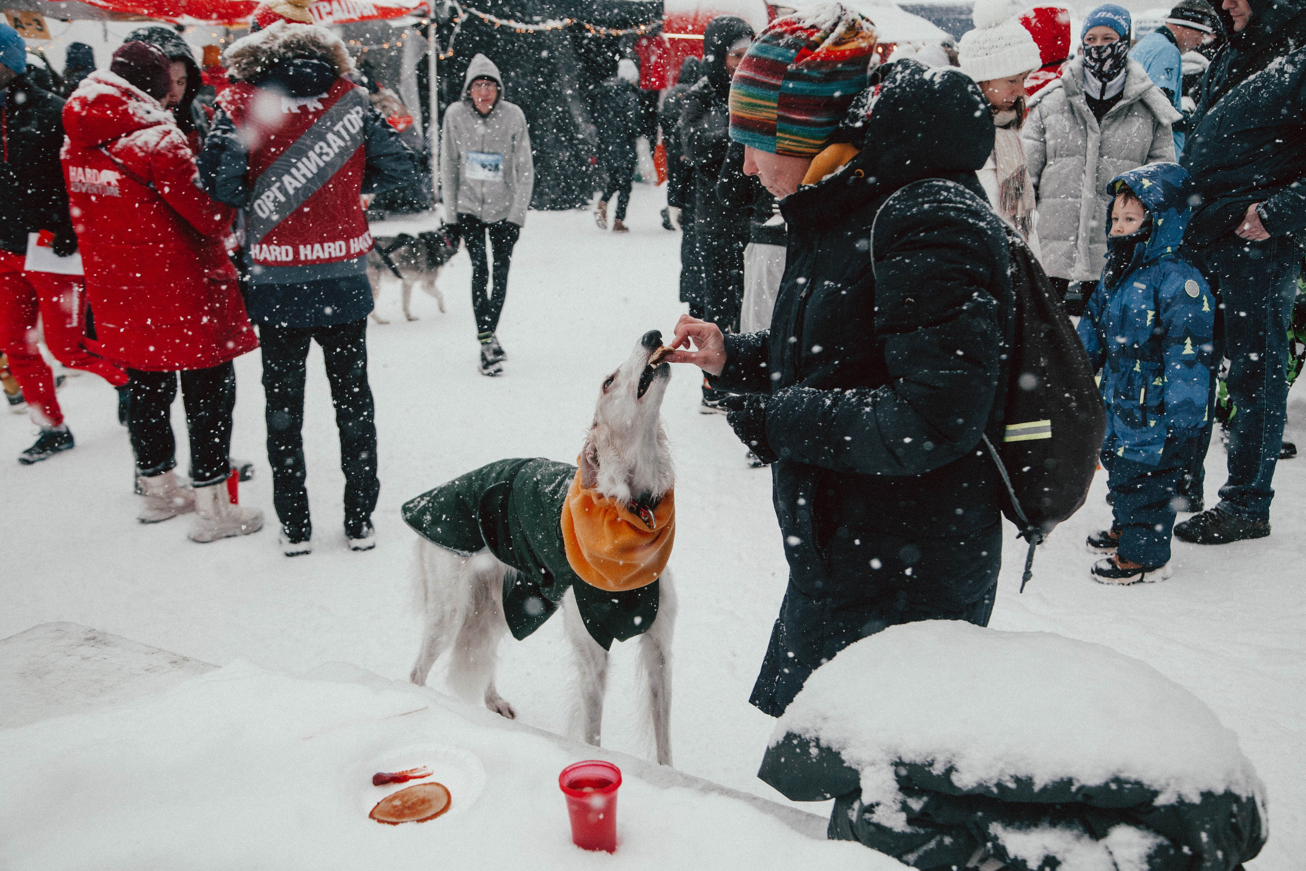 HARD TRAIL в Суоранде. Репортажный фотограф во Всеволожске и Санкт-Петербурге Владимир Капустин