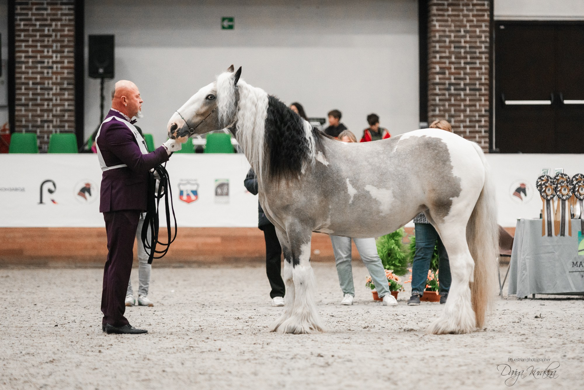 8-я международная выставка Конная Россия. Конный фотограф Куракина Дарья • Фотосессии с лошадьми