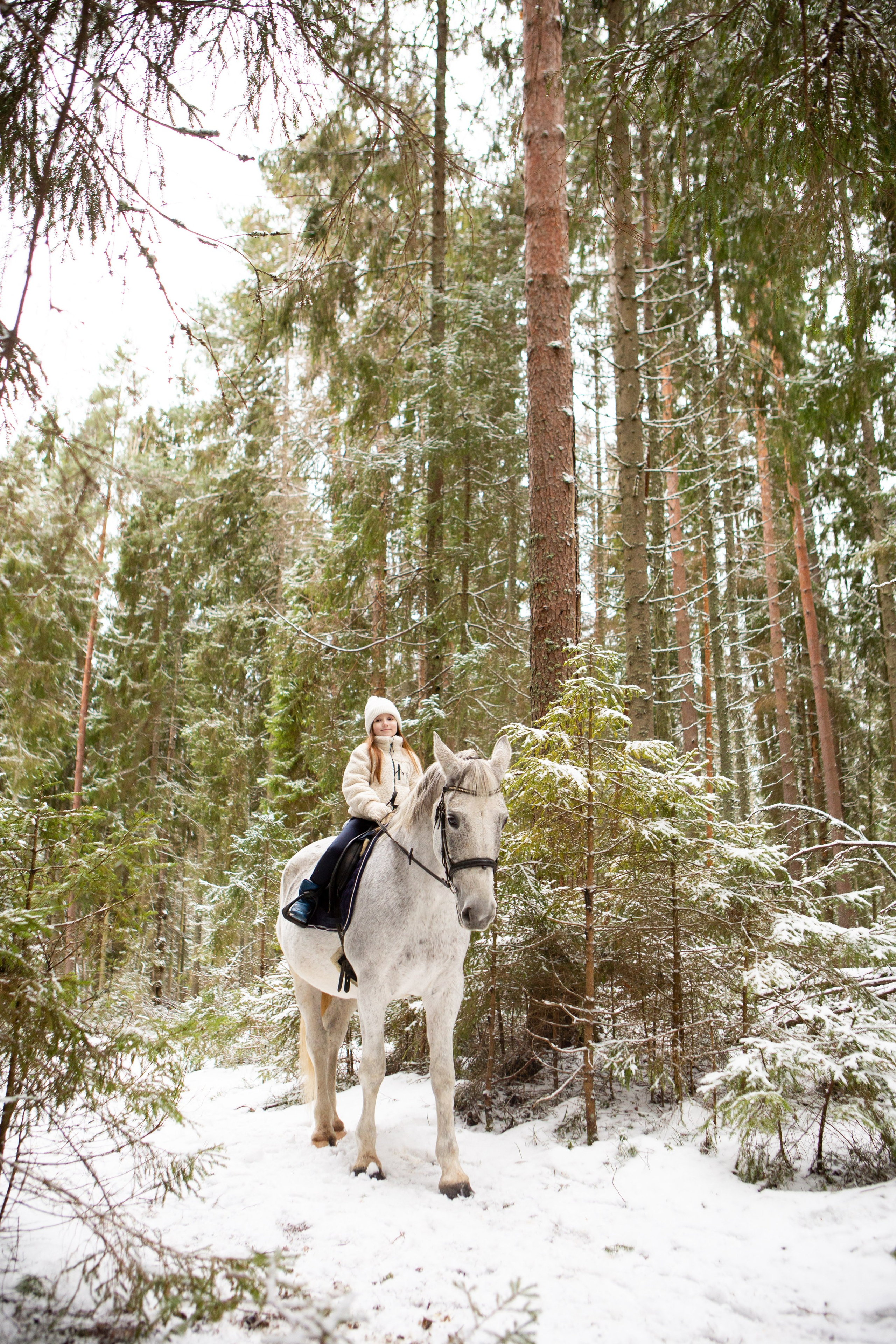 Конные фотосессии (съёмки с лошадьми). Главная