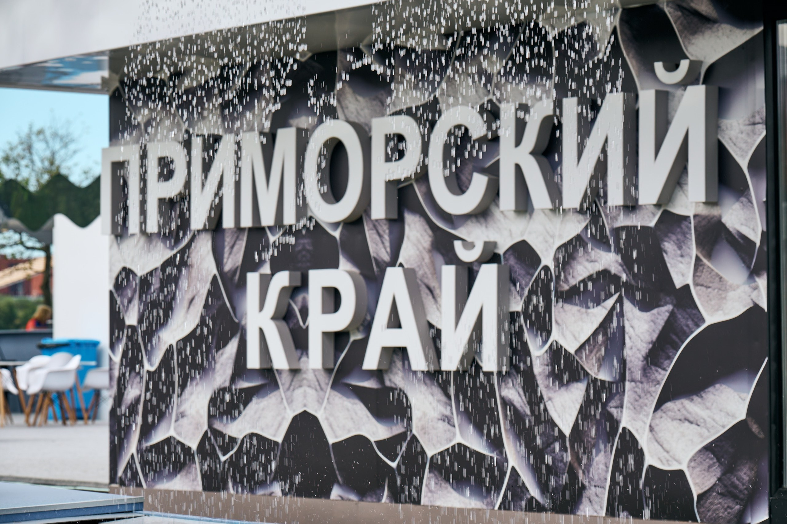 Вэф молодежный день. Профессиональный репортажный фотограф Инесса Иминова