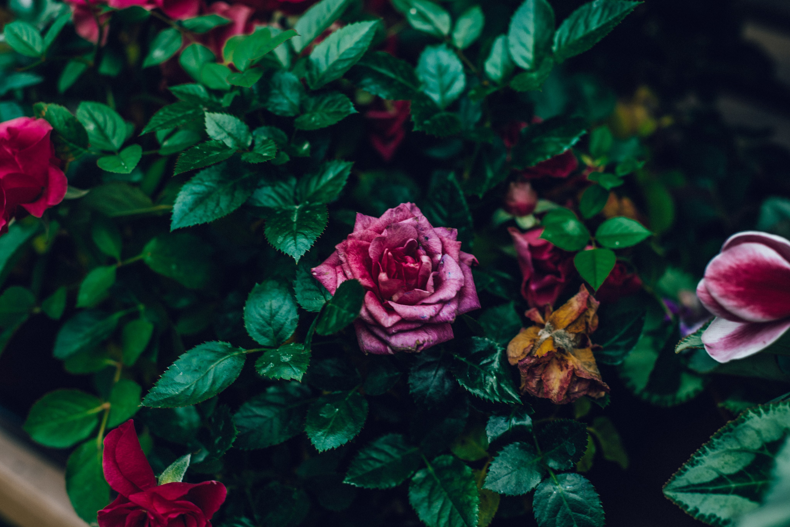 Путешествие по Китаю рекламного фотографа из Гуанчжоу. Коммерческий и предметный фотограф в Гуанчжоу Коваленко Александр