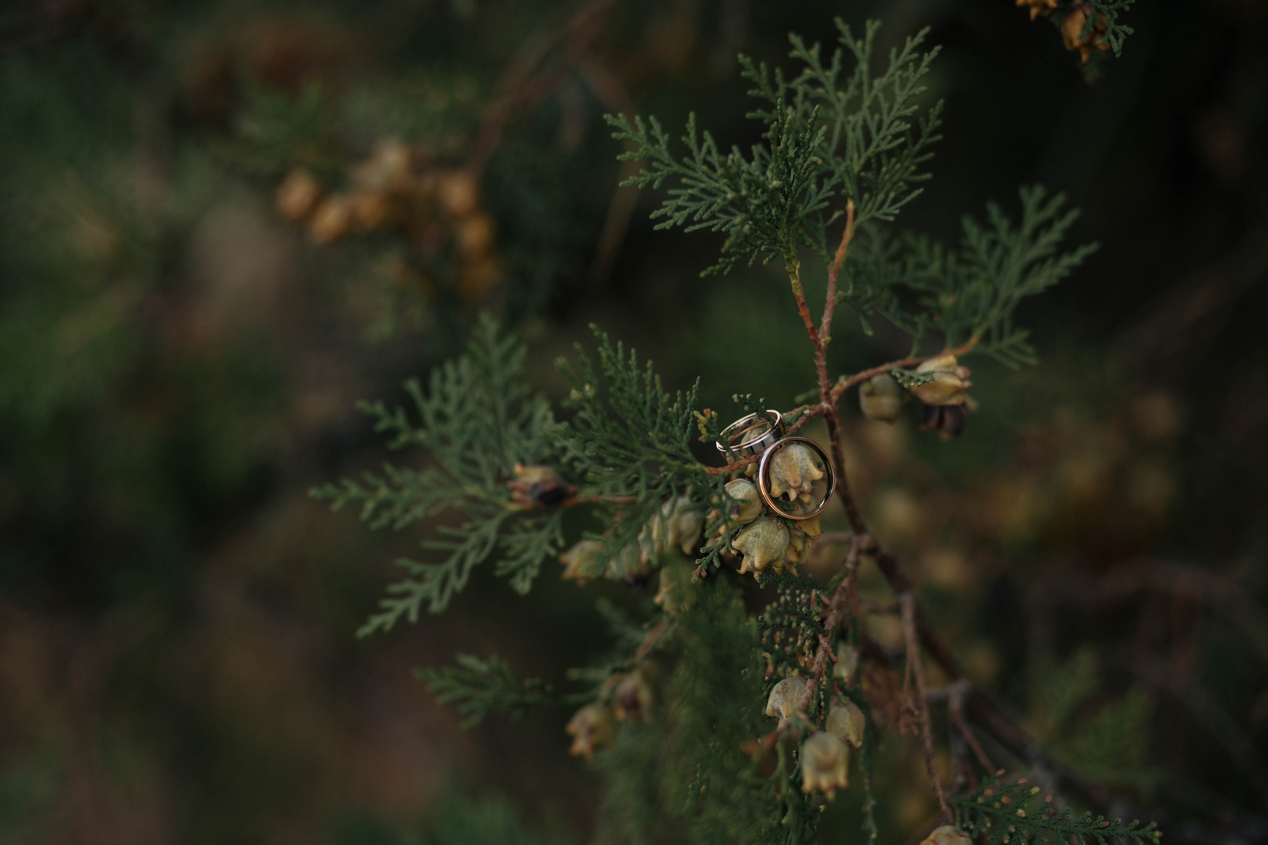 Галя & Саша. Фотограф Сальск Катерина