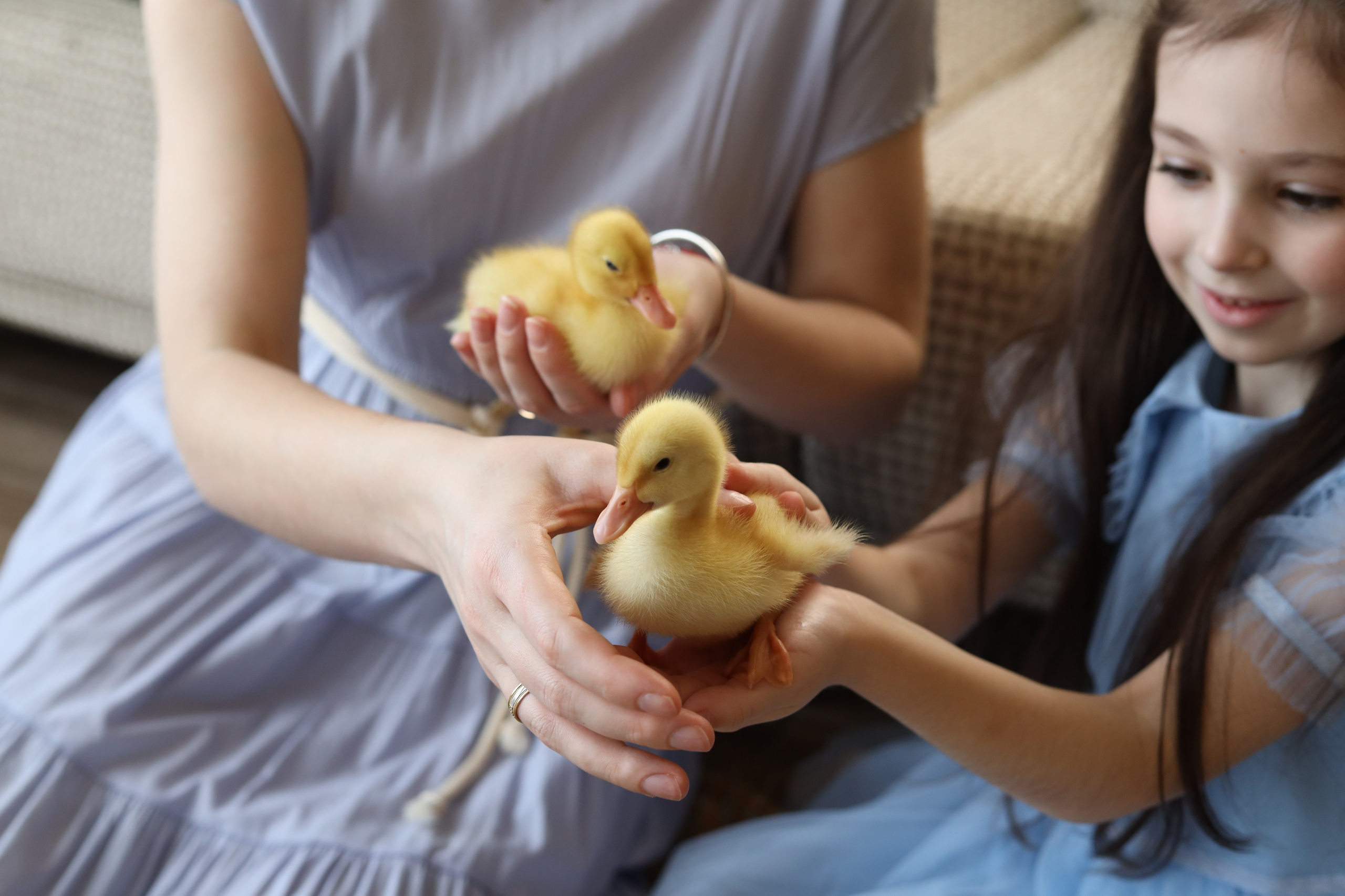 Семейная съемка. Фотограф новорожденных Модяева Ирина