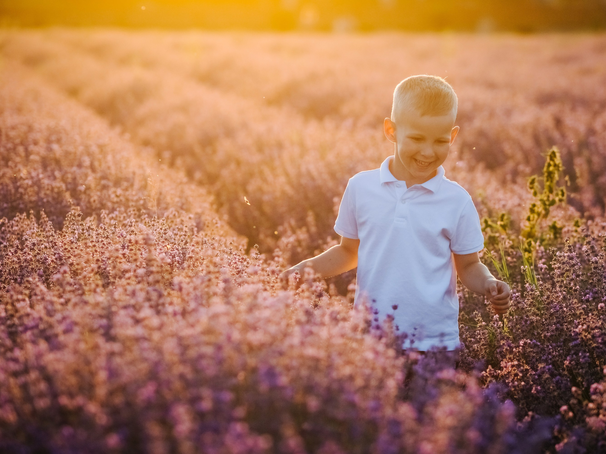 Lavender. Семейный, детский, свадебный, фотограф в городе Анапа
