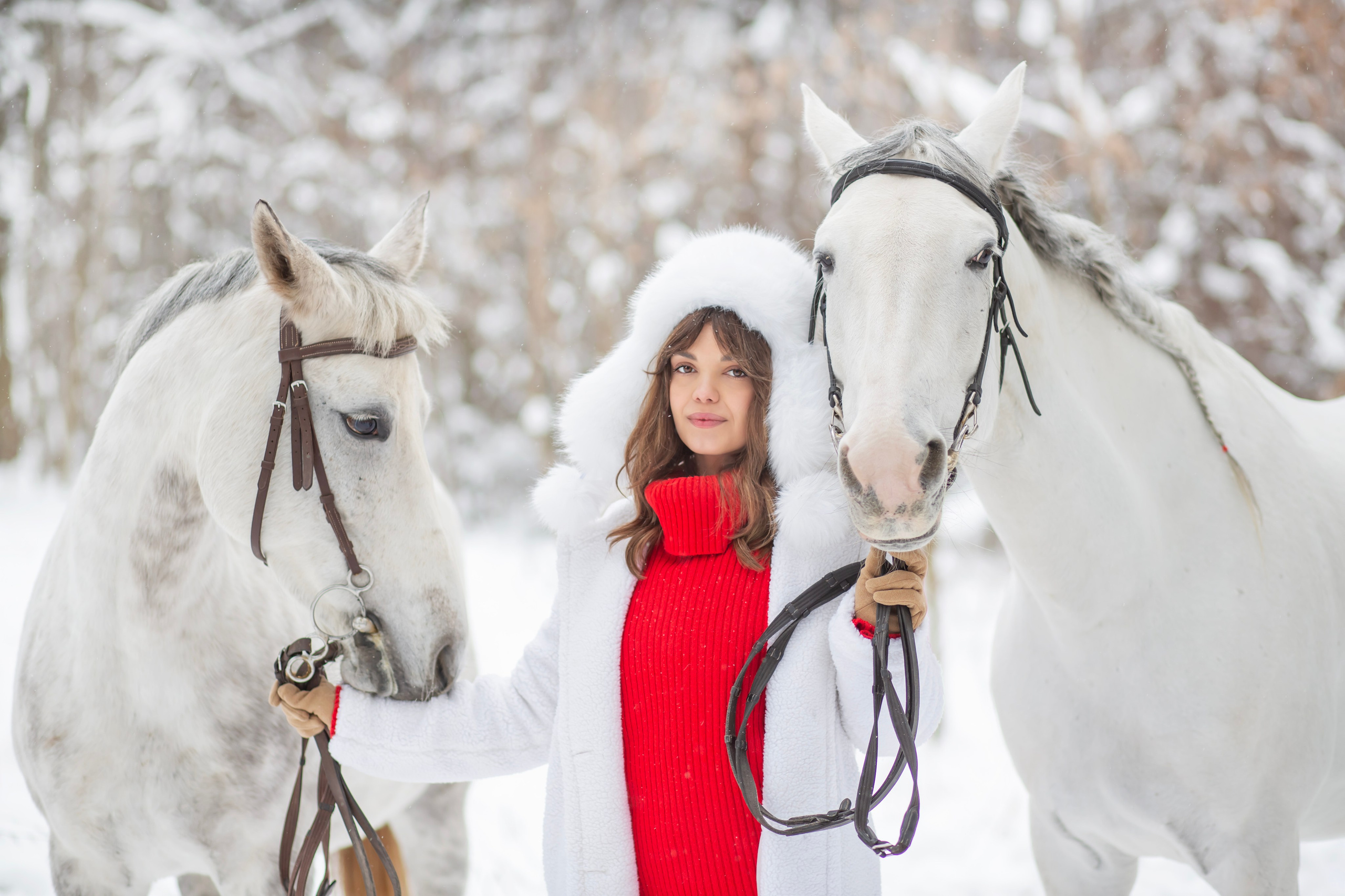 Год лошади. Семейный и детский фотограф в Москве и МО — Александра
