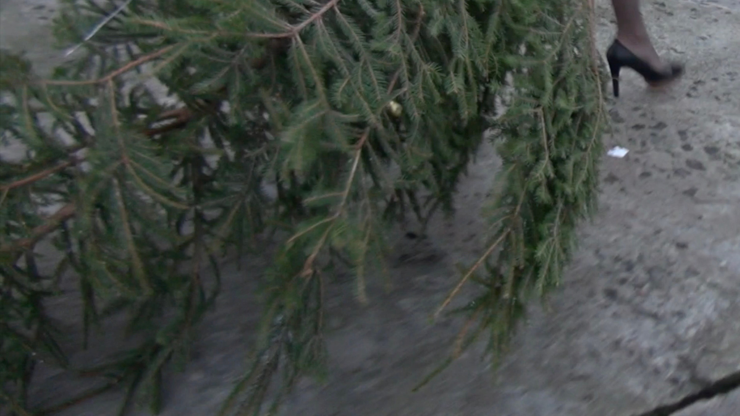 NIDA — 1 — ADIN. Художественная группа «Нежные Бабы»