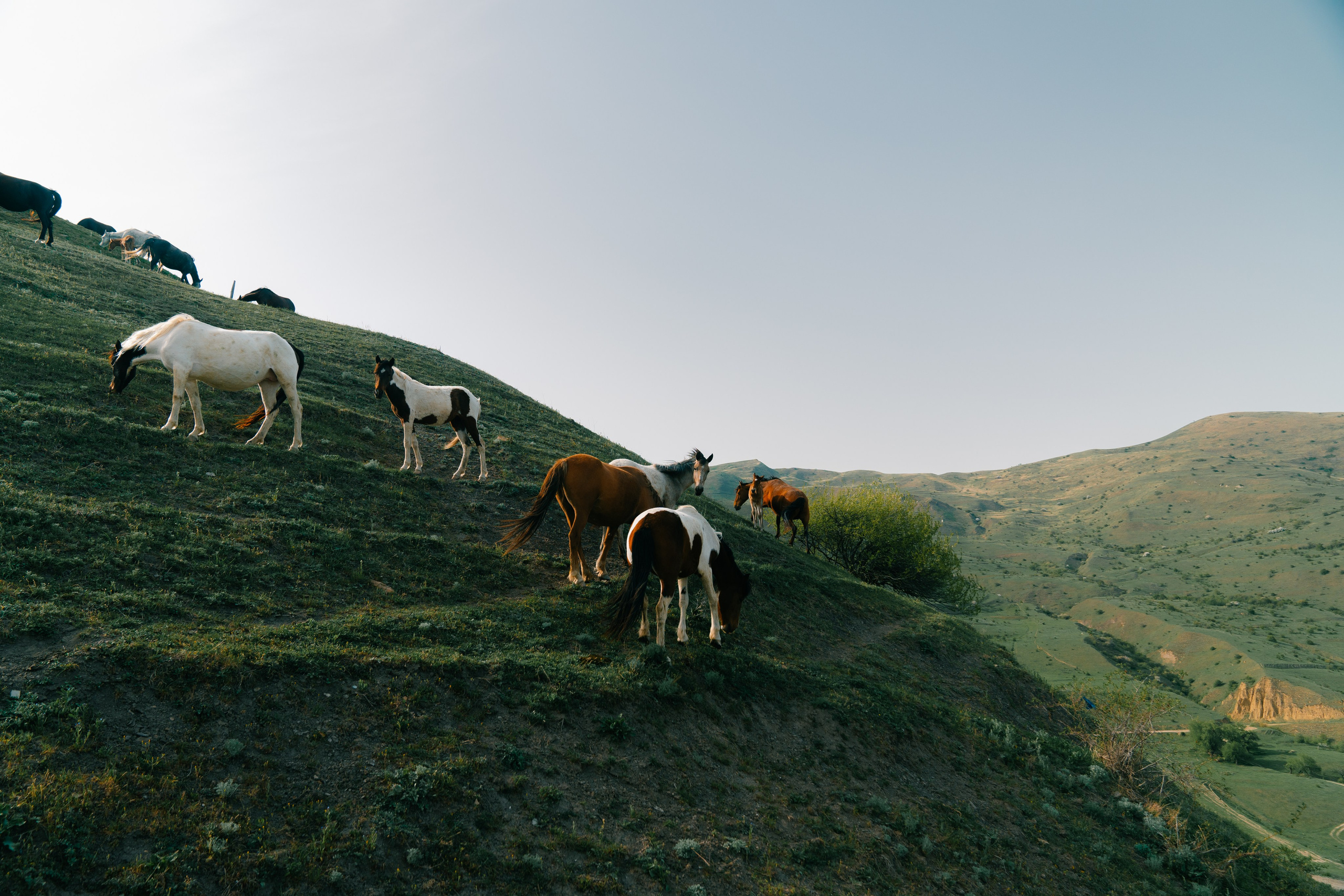 Street. Фотограф Москва