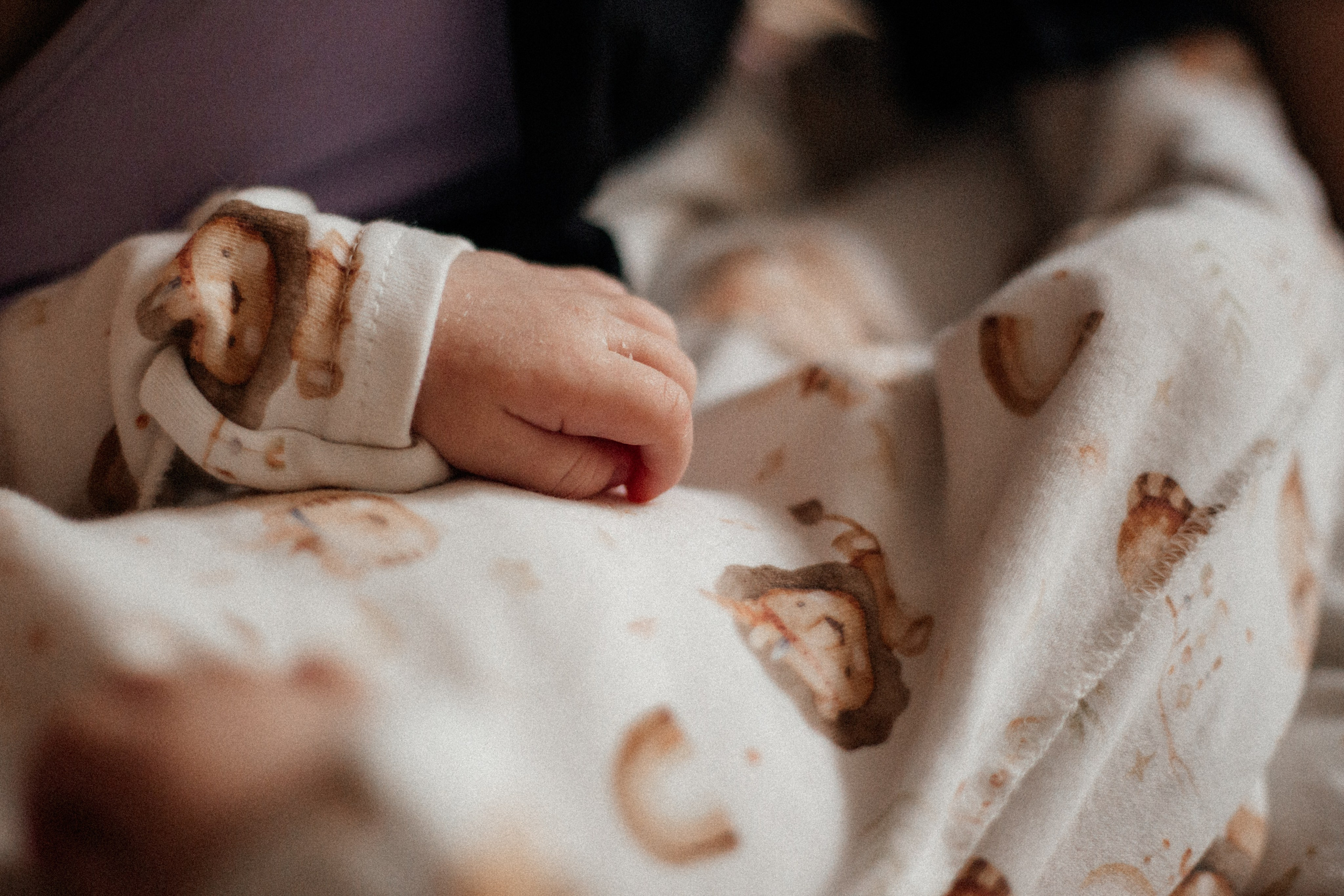 Ева. Семейный фотограф Виктория Потехина Москва