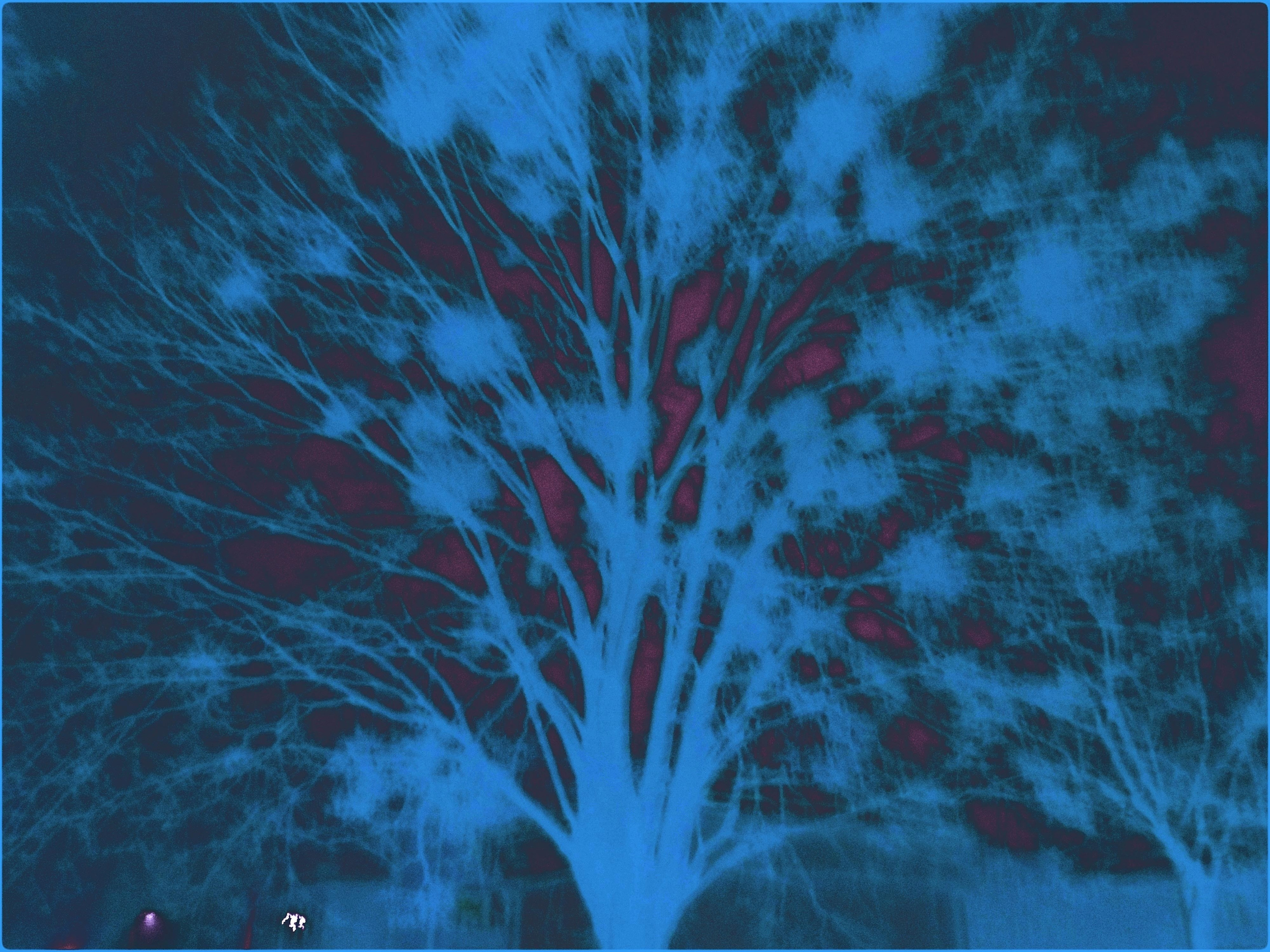 Malamoonki. Катерина Малама арт-фотограф