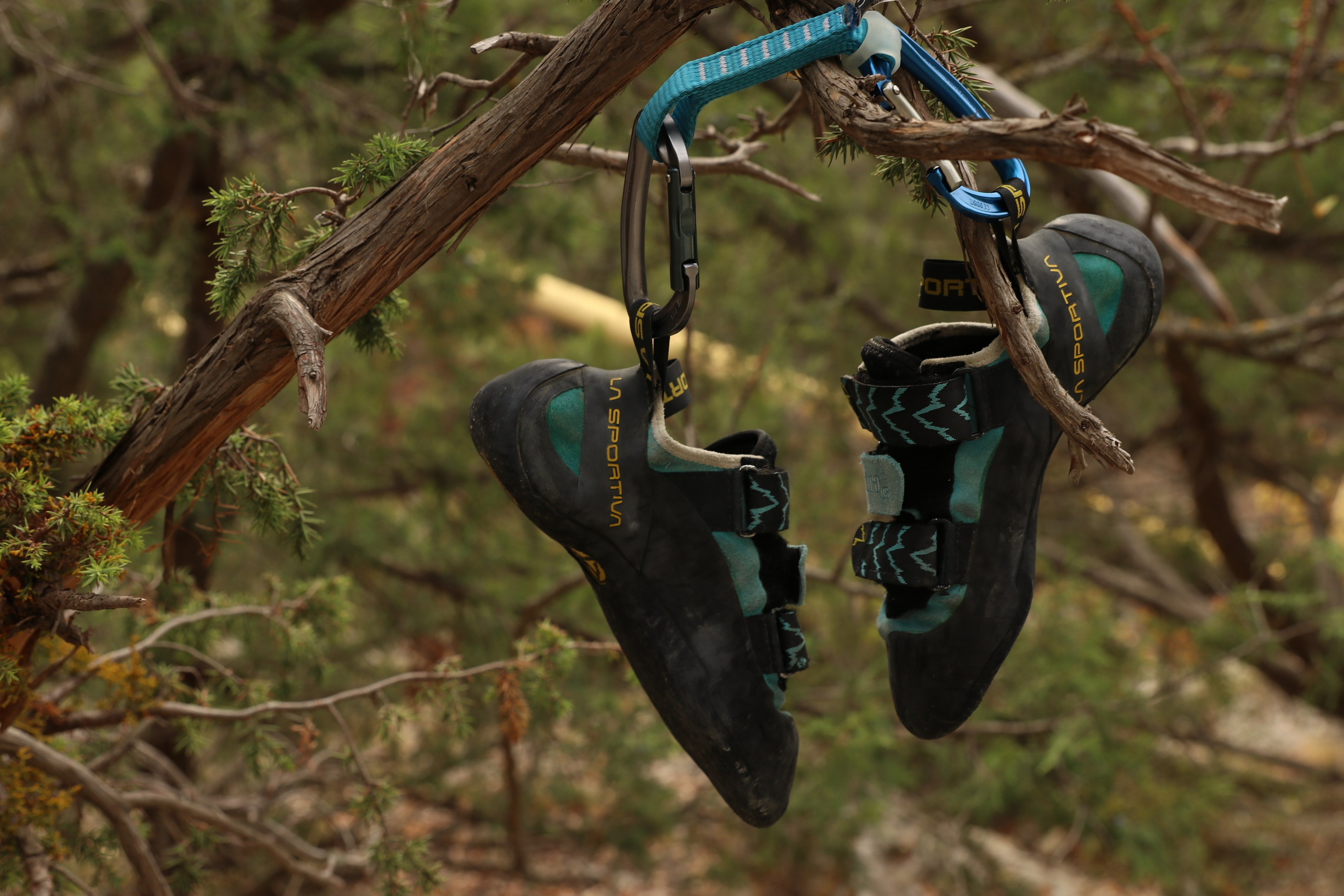 Крым. ЮБК (Гурзуф, Судак и их окрестности). Ноябрь 2023. Путешественник-фотограф из Санкт-Петербурга Татьяна Свистулина