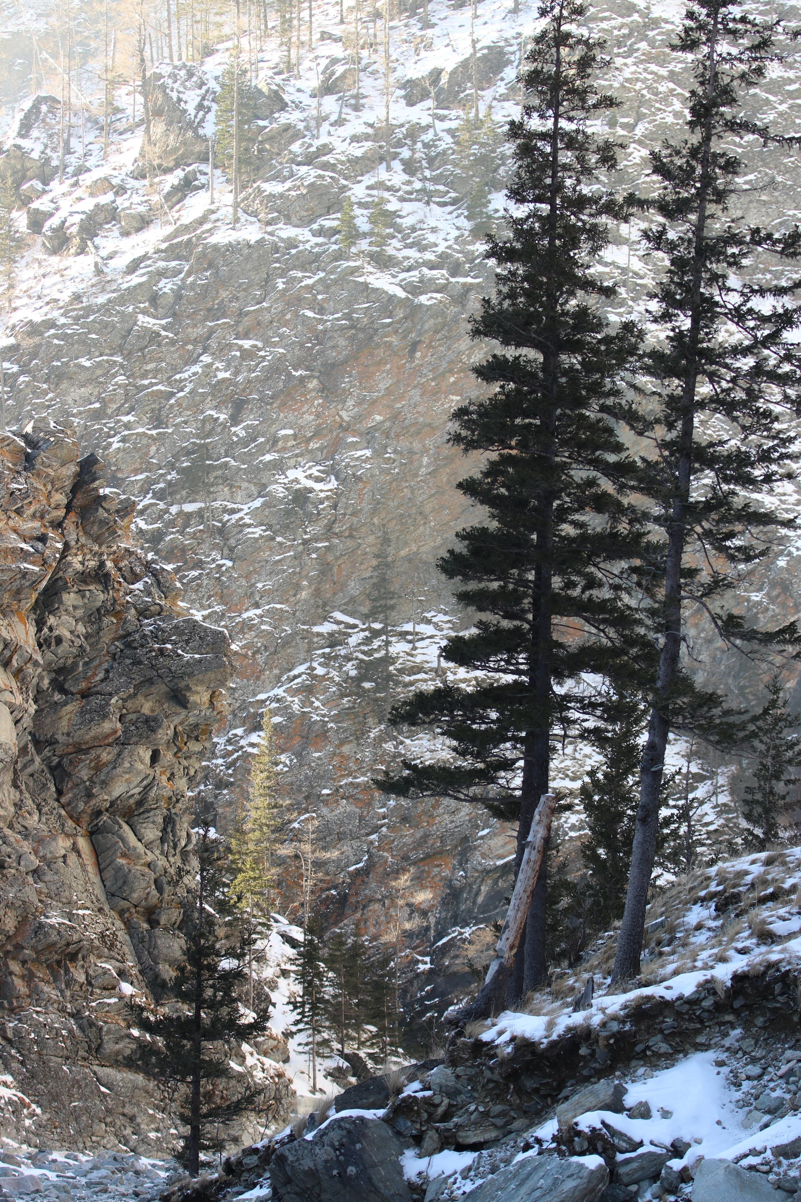 Аршан. Январь 2022. Путешественник-фотограф из Санкт-Петербурга Татьяна Свистулина