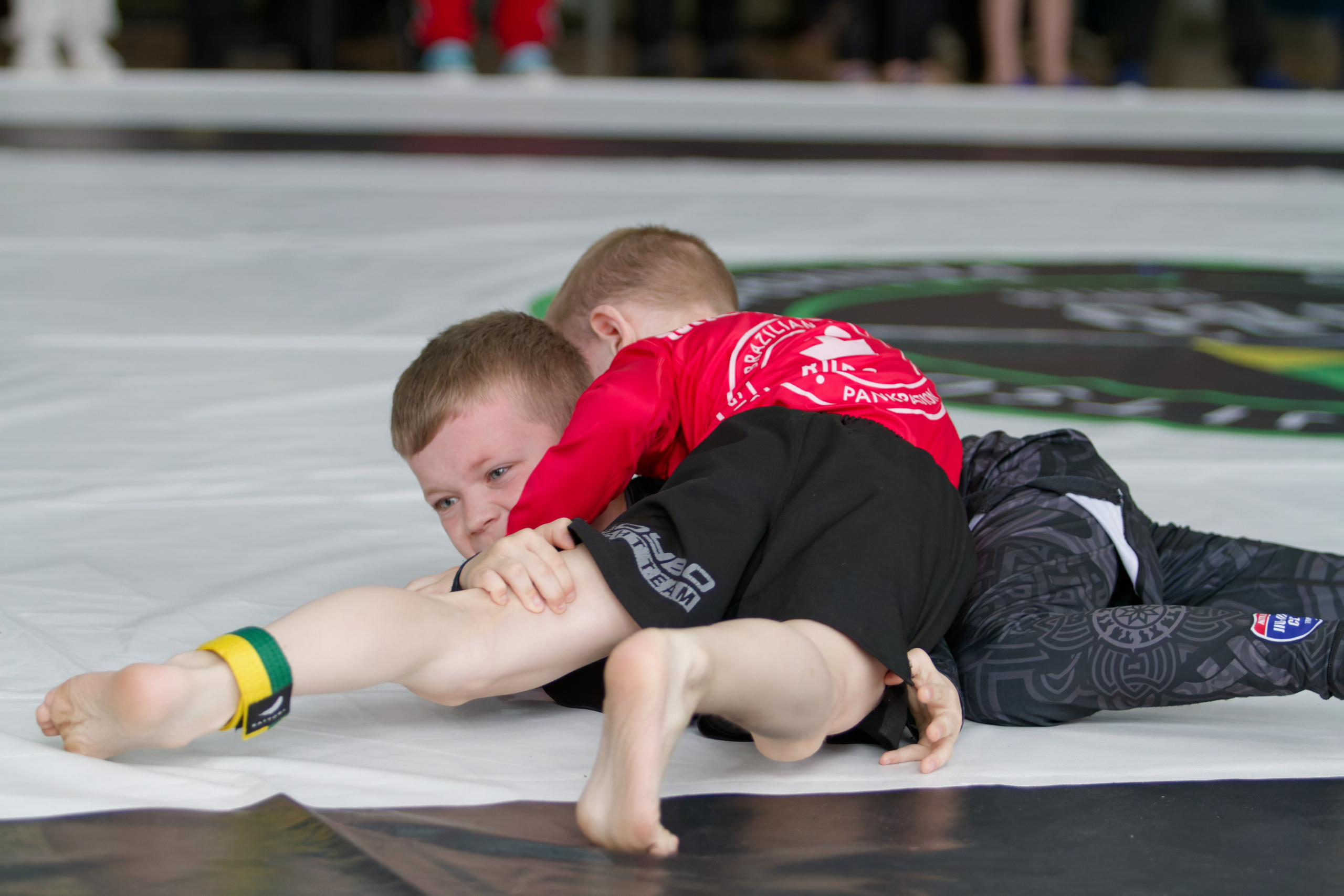 Борьба. Джиу-джитсу 26.04.2025. Репортажный и спортивный фотограф в г. Пермь Зильберг Павел