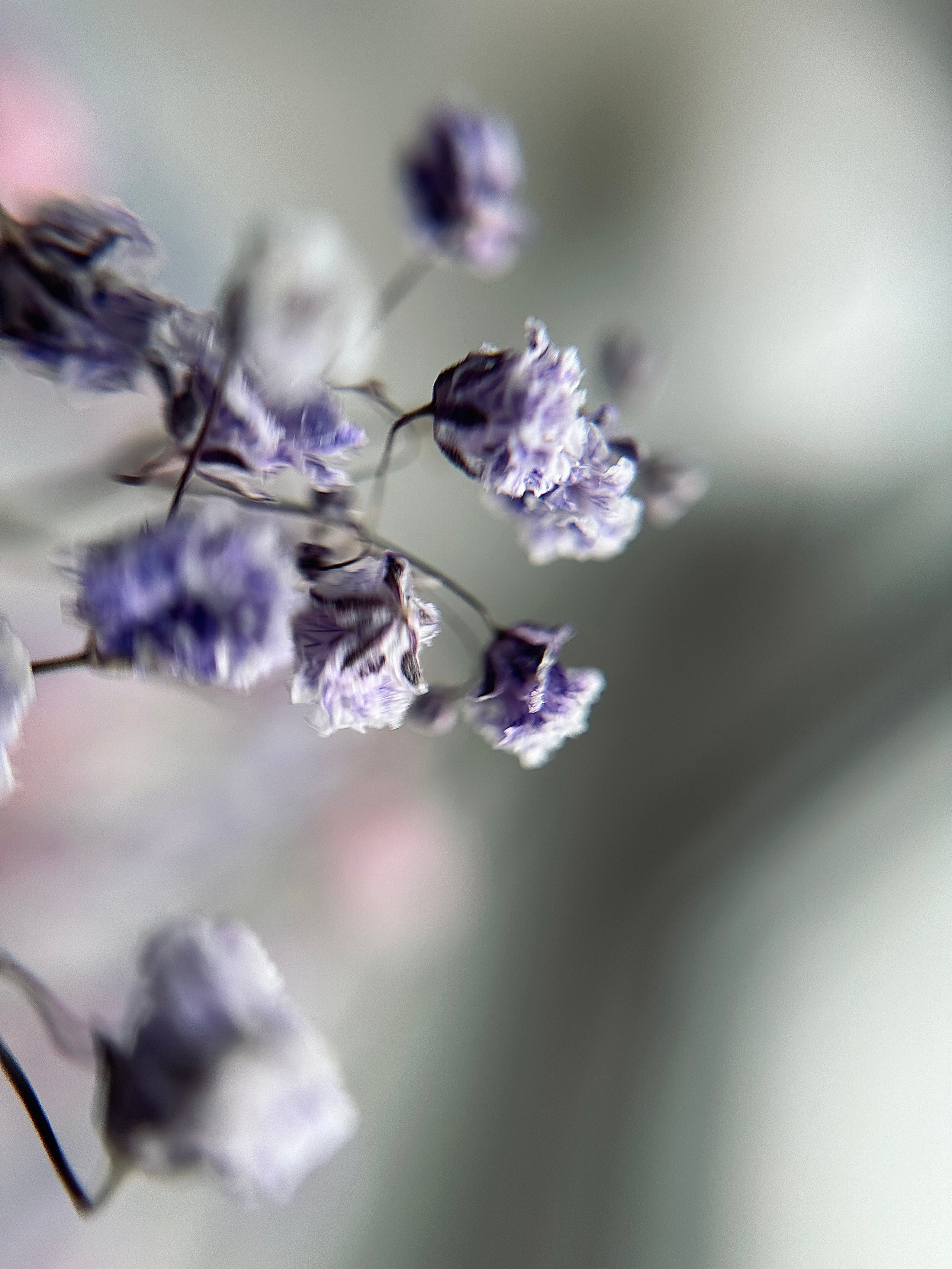 Мобильная фотография