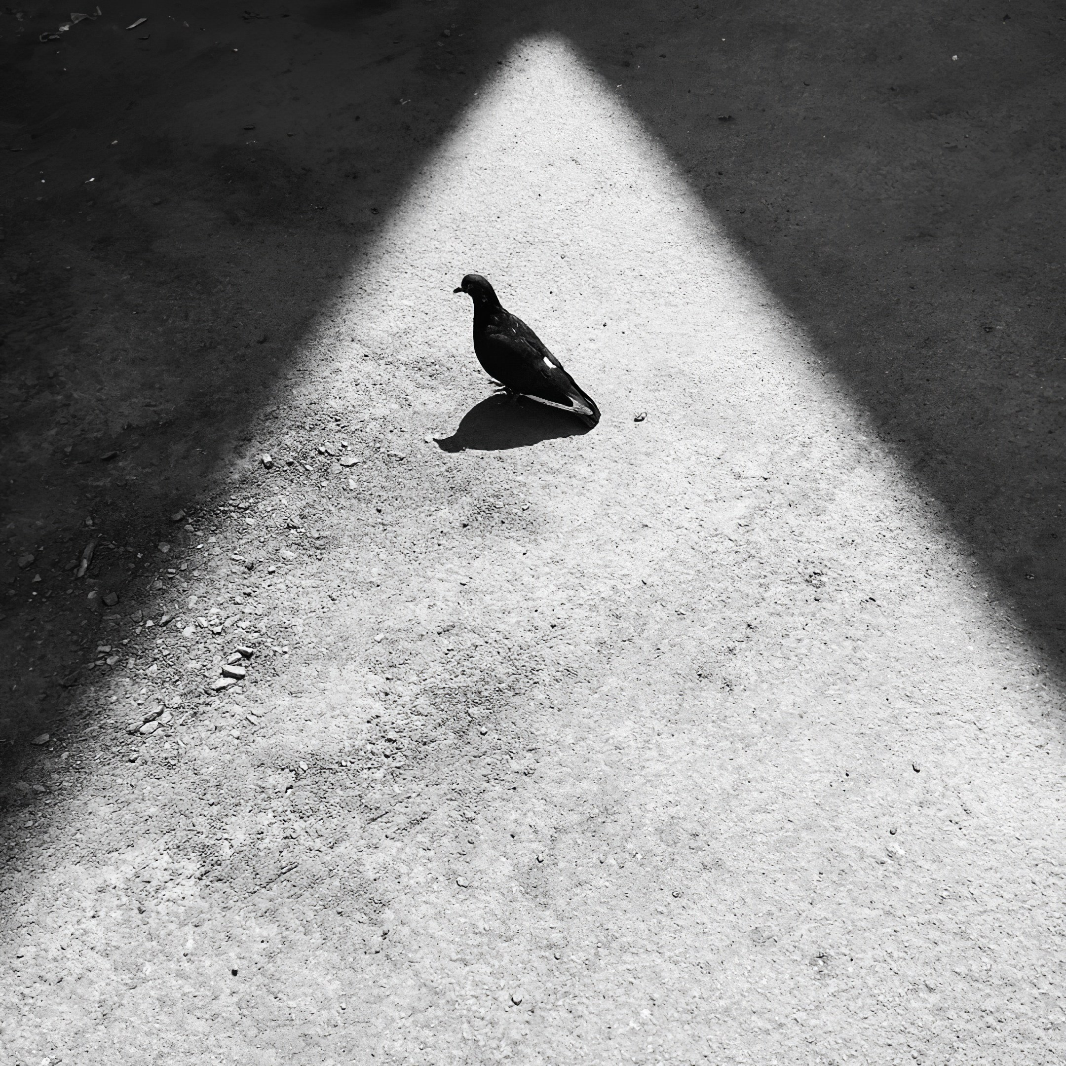 Мобильное. Дмитрий Ратихин. Видеограф и фотограф в Санкт-Петербурге и Москве