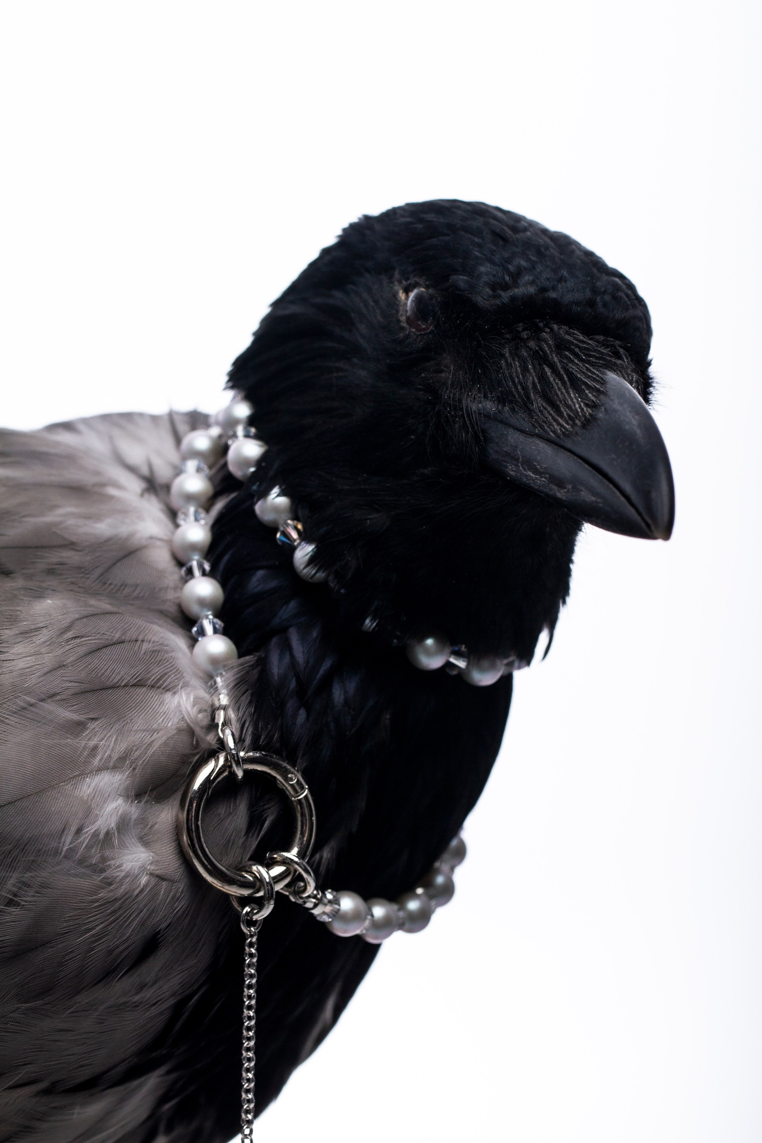 Бижутерия. Концептуальный фотограф Шлыкова Ольга