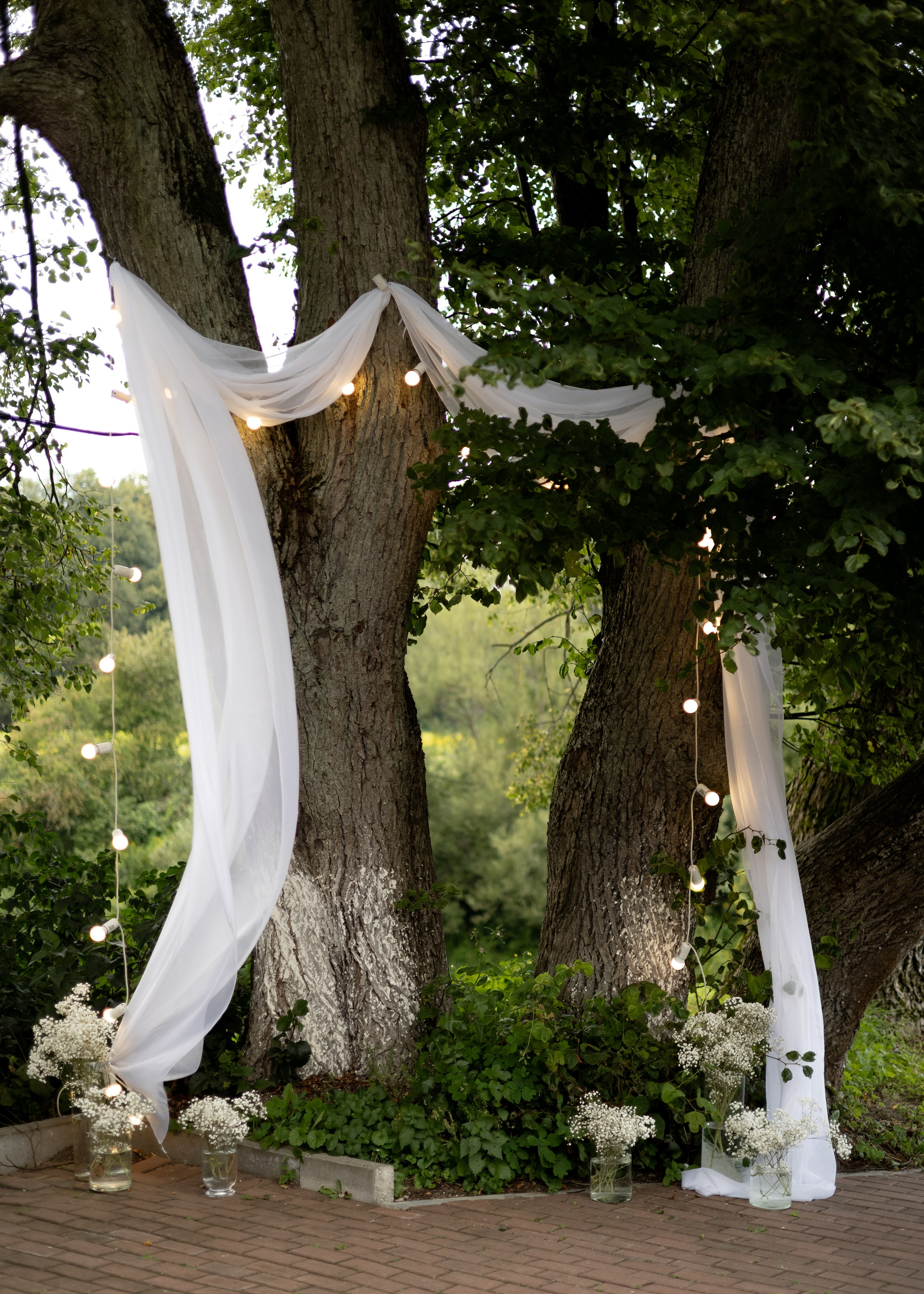 Денис & Дарья | в лесу. Фотограф в Калининграде Сокирко Светлана