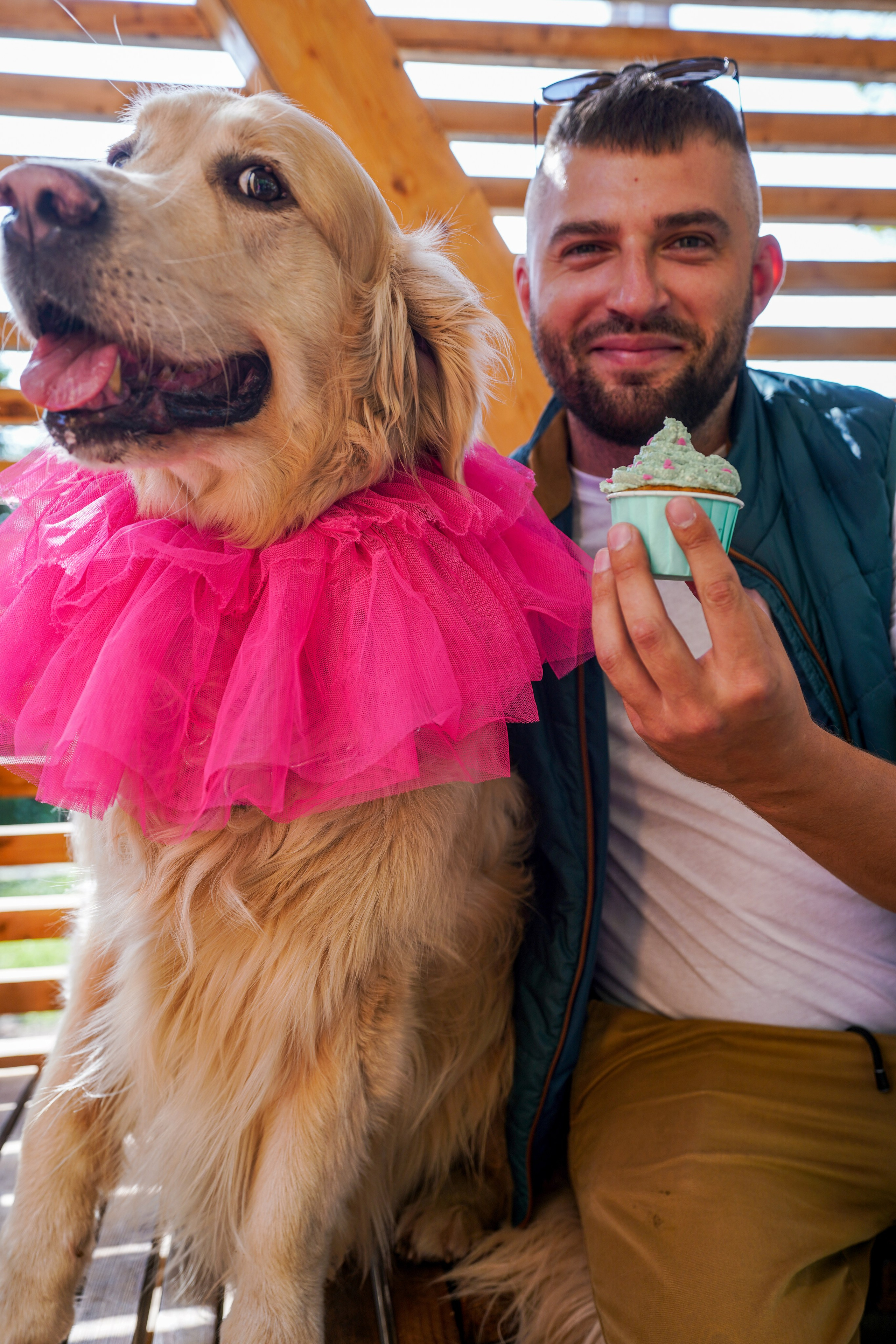 ДР собаки по имени Моррис :). Фотограф Казань