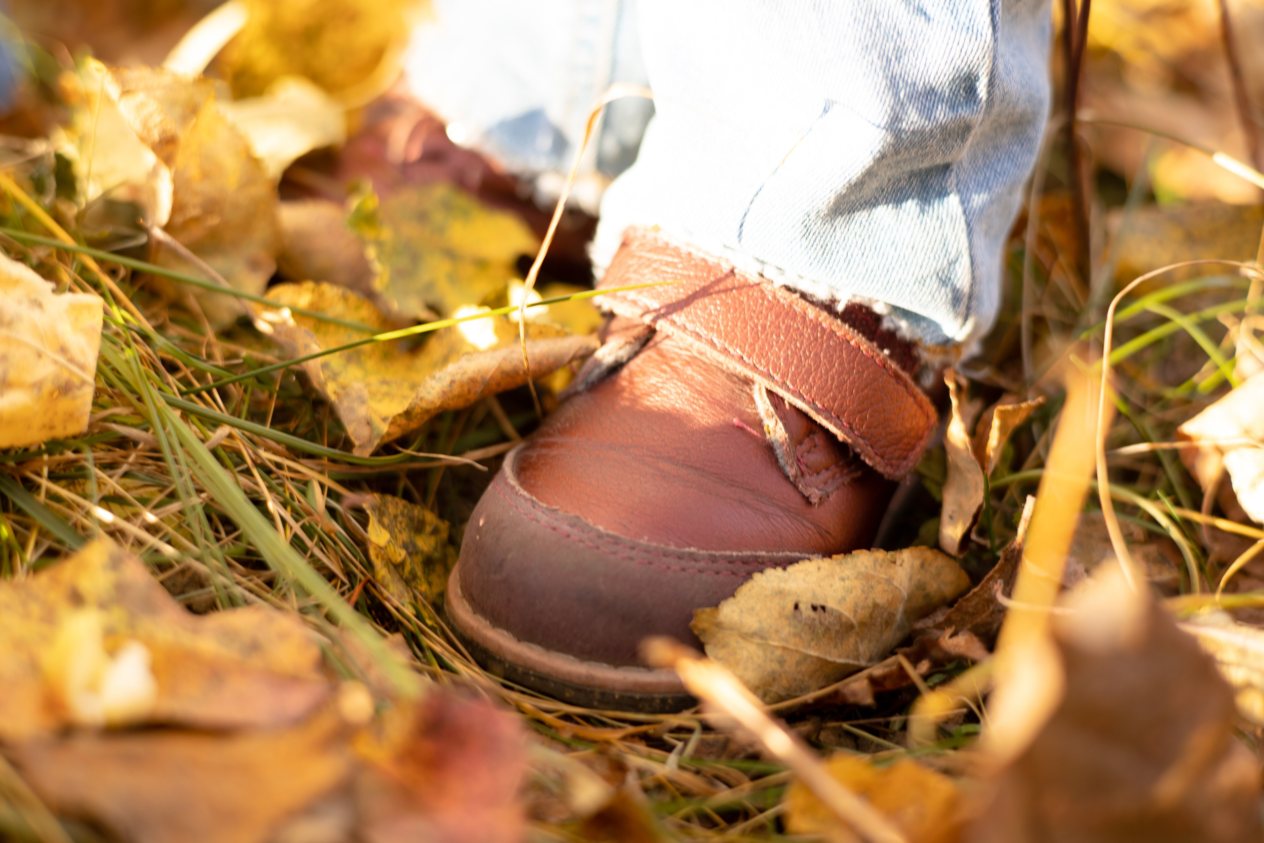 Кузьмины. Фотограф Элла Ефимова