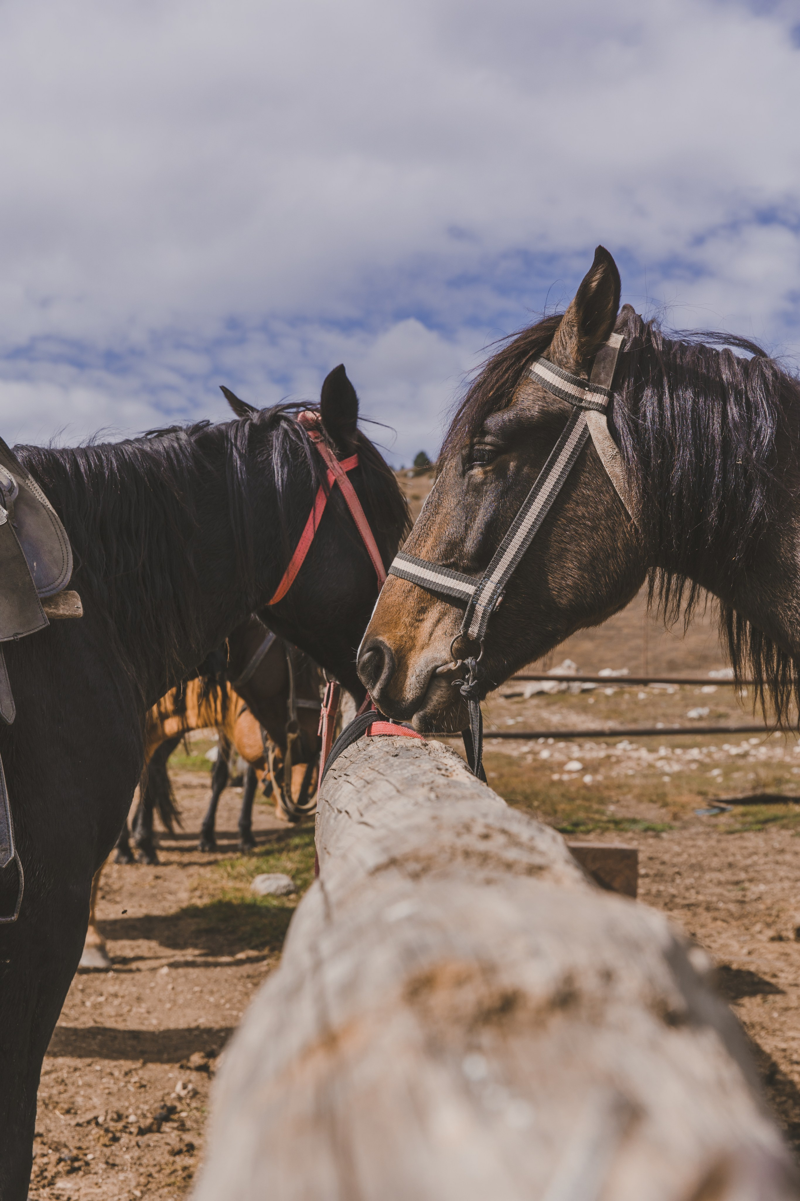 Осетия. Мастерская для создания имиджа от BenSami в Санкт-Петербурге и Москве
