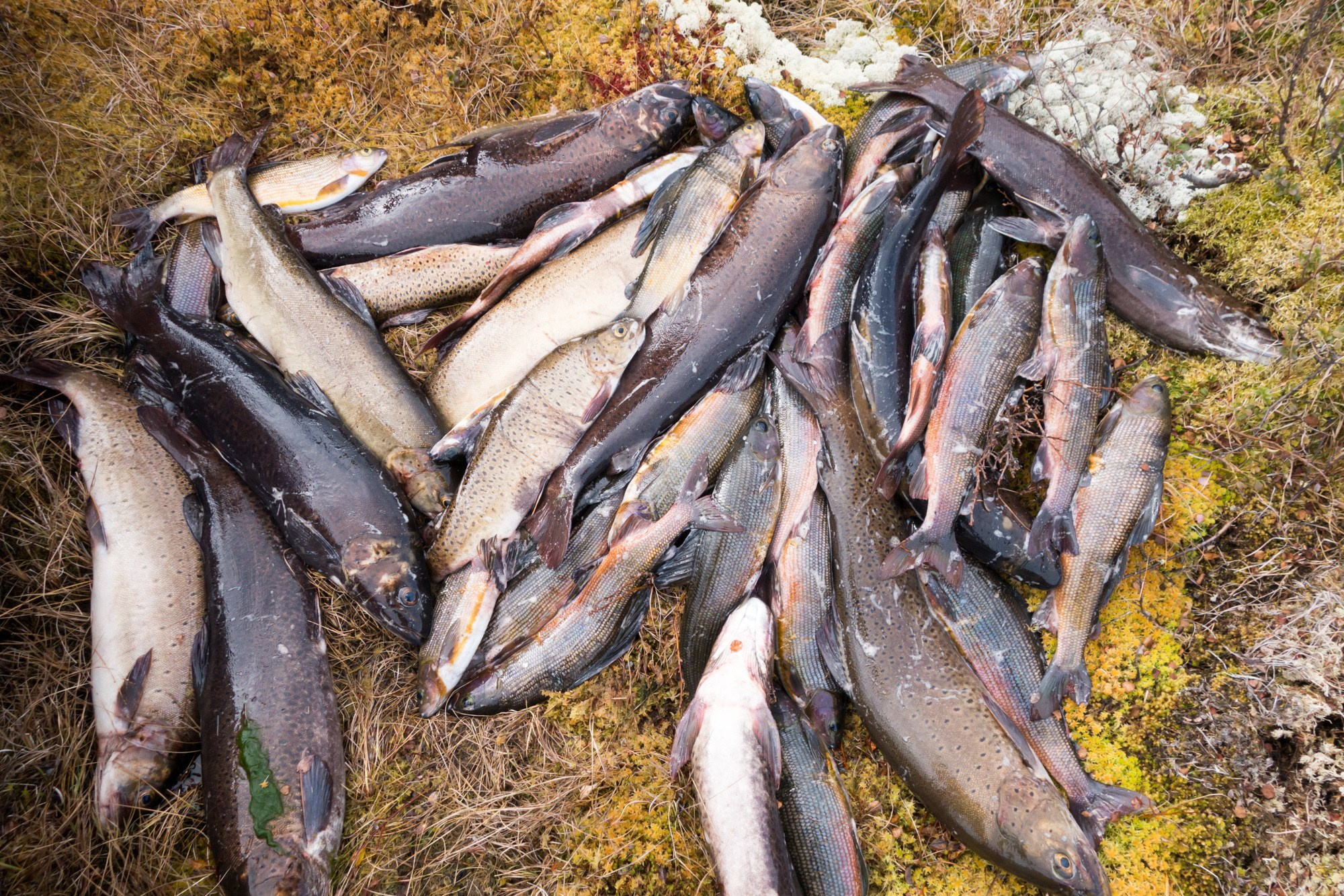 Якутия. Фотограф Алексей Скоробогатько