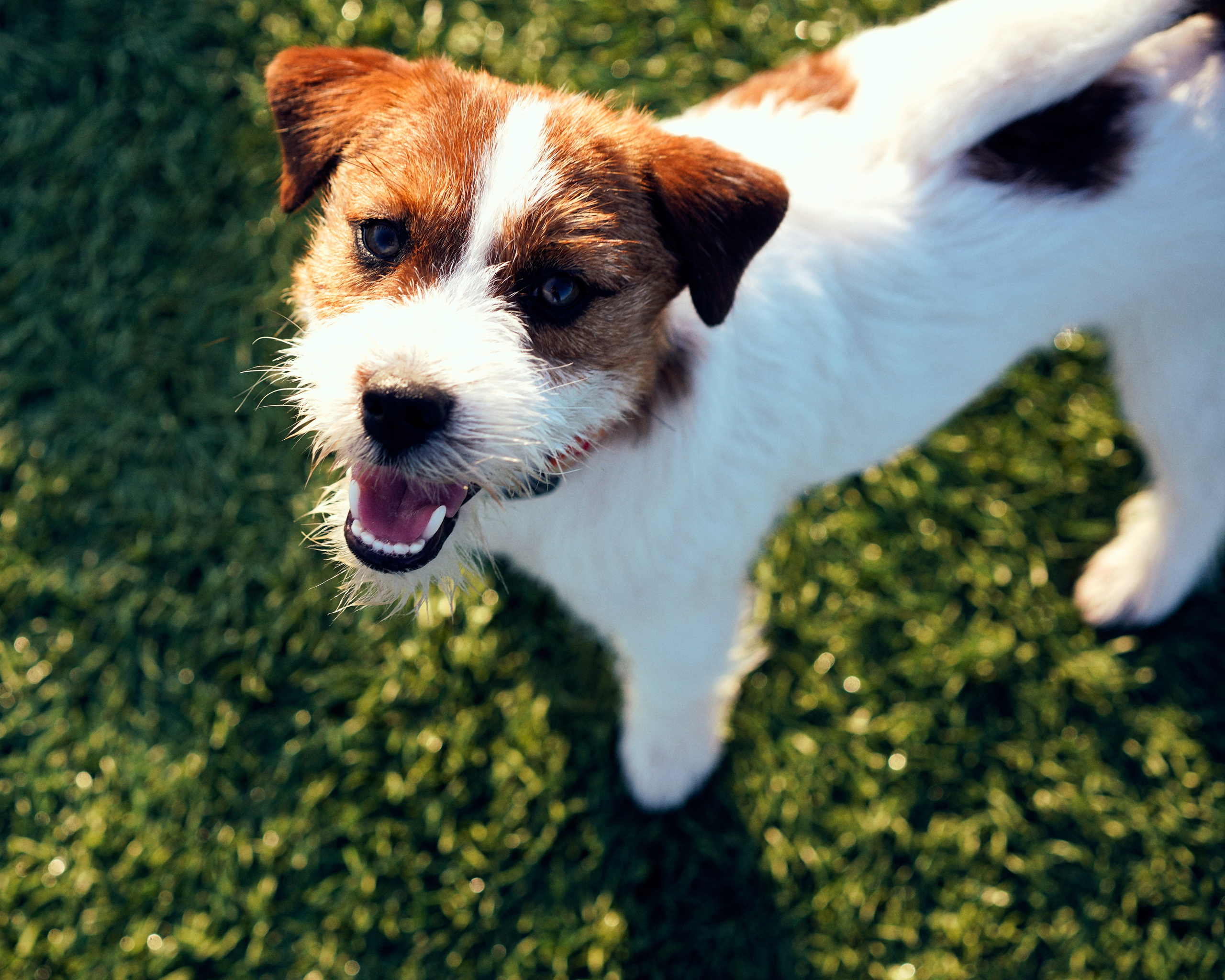 «Ты, Я и Виски». Фотограф Казань