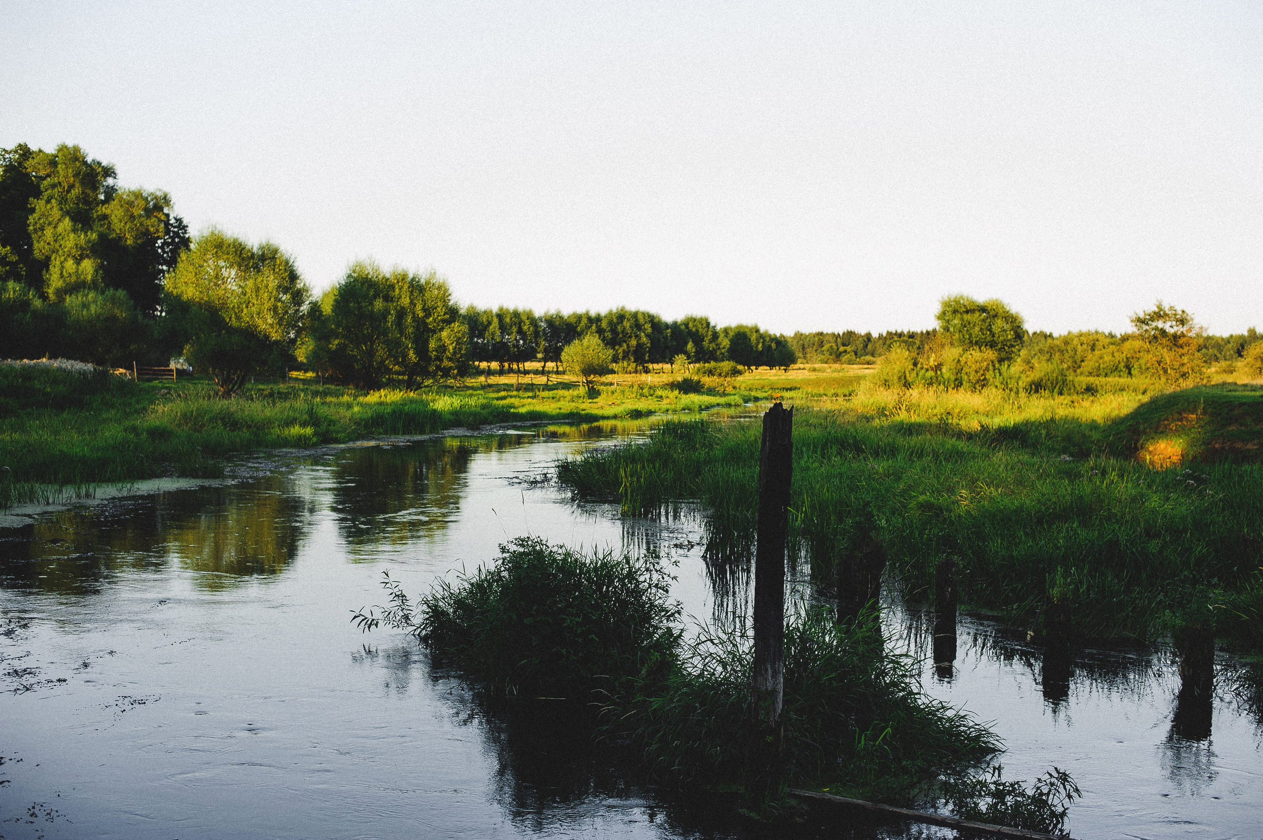 ЛЕТО в ДЕРЕВНЕ. Свадебный и семейный фотограф РИТА БОЧКАРЁВА