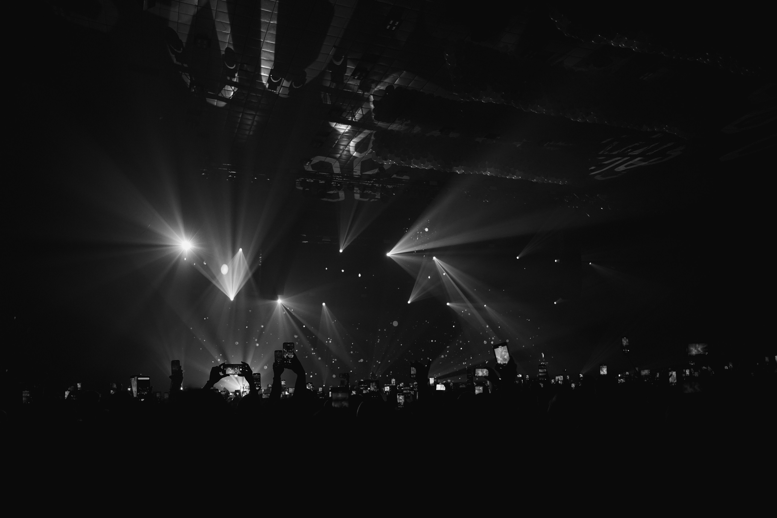 Концерты. Фотограф Анна Максимова