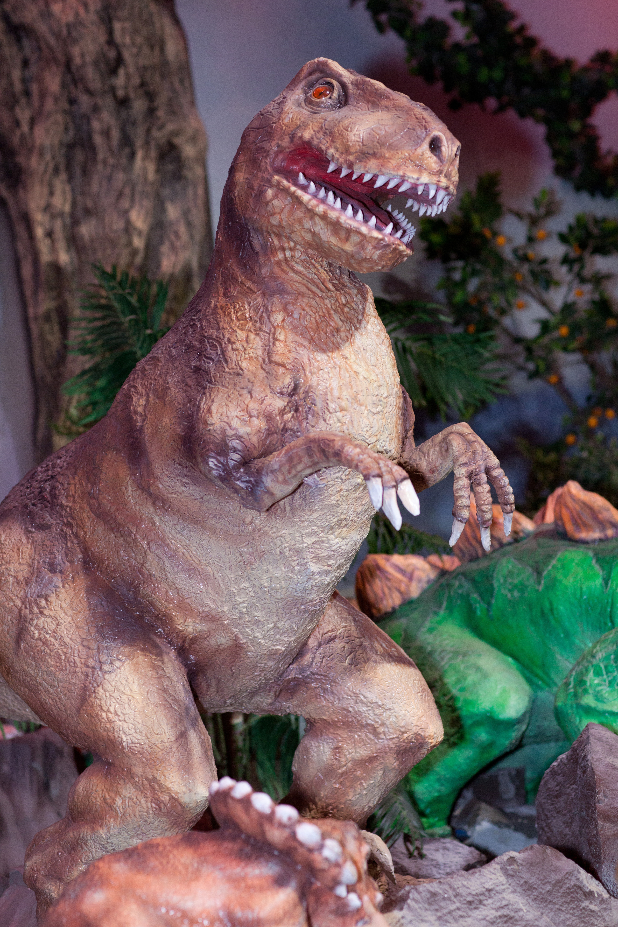 День рождения Тони. Фотограф Сергей Осколков (Москва)